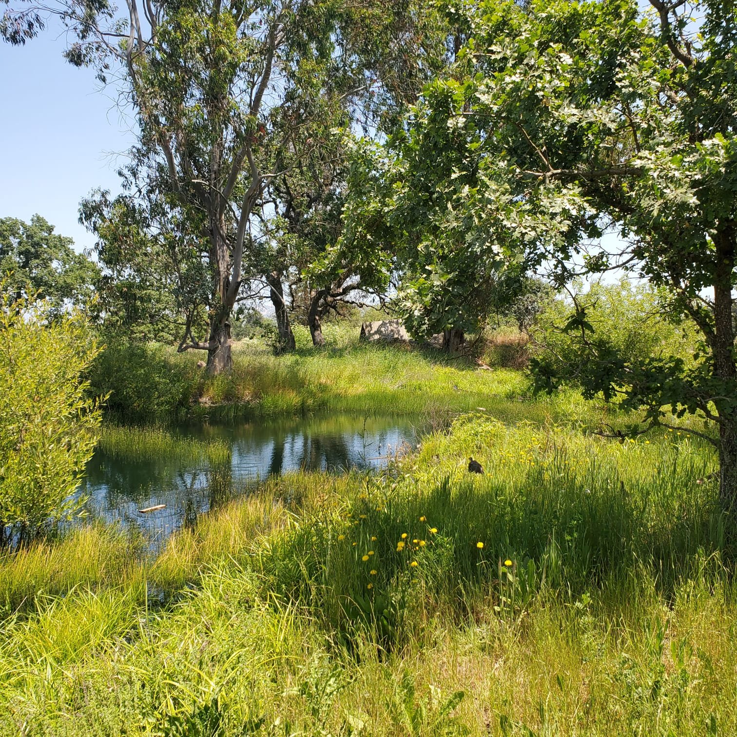 WhatsApp Image 2025-10-18 at 14.19.18_9f038e88.jpg