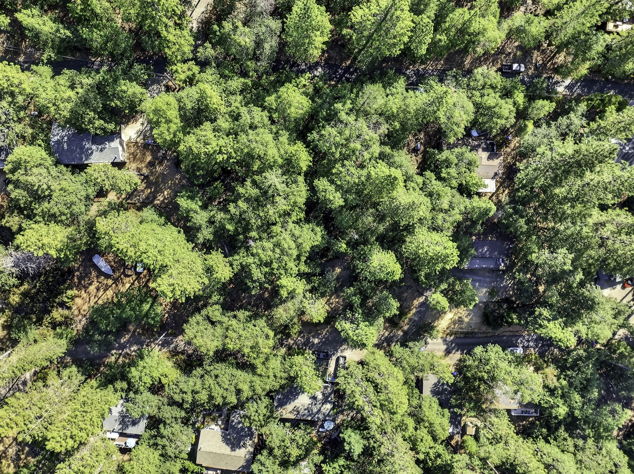 Manzanita Ct 16370 1-web-or-mls-DJI_0572.jpg