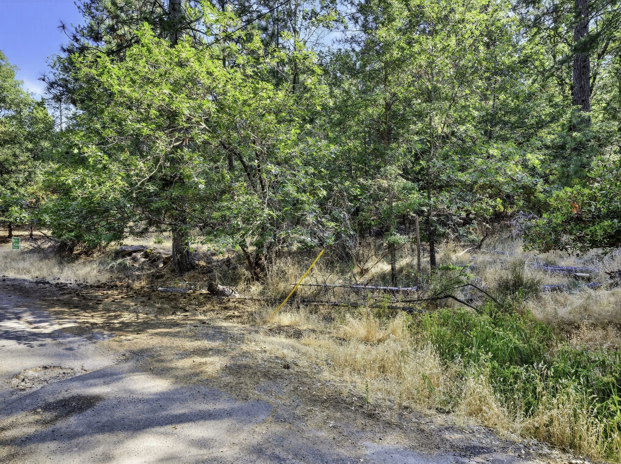 Manzanita Ct 16370 8-web-or-mls-DSC00395.jpg