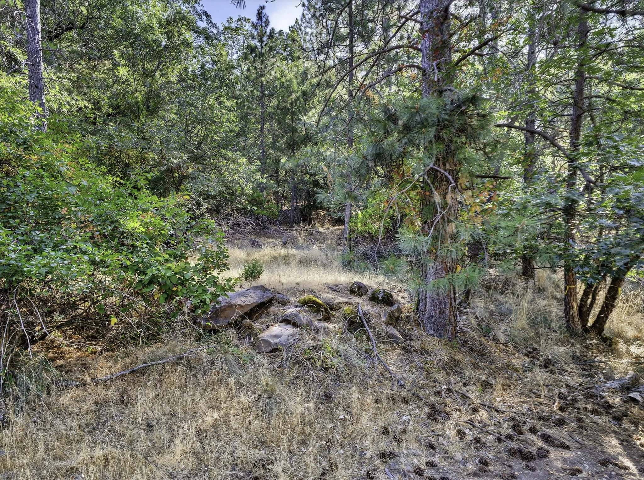 Manzanita Ct 16370 9-web-or-mls-DSC00400.jpg