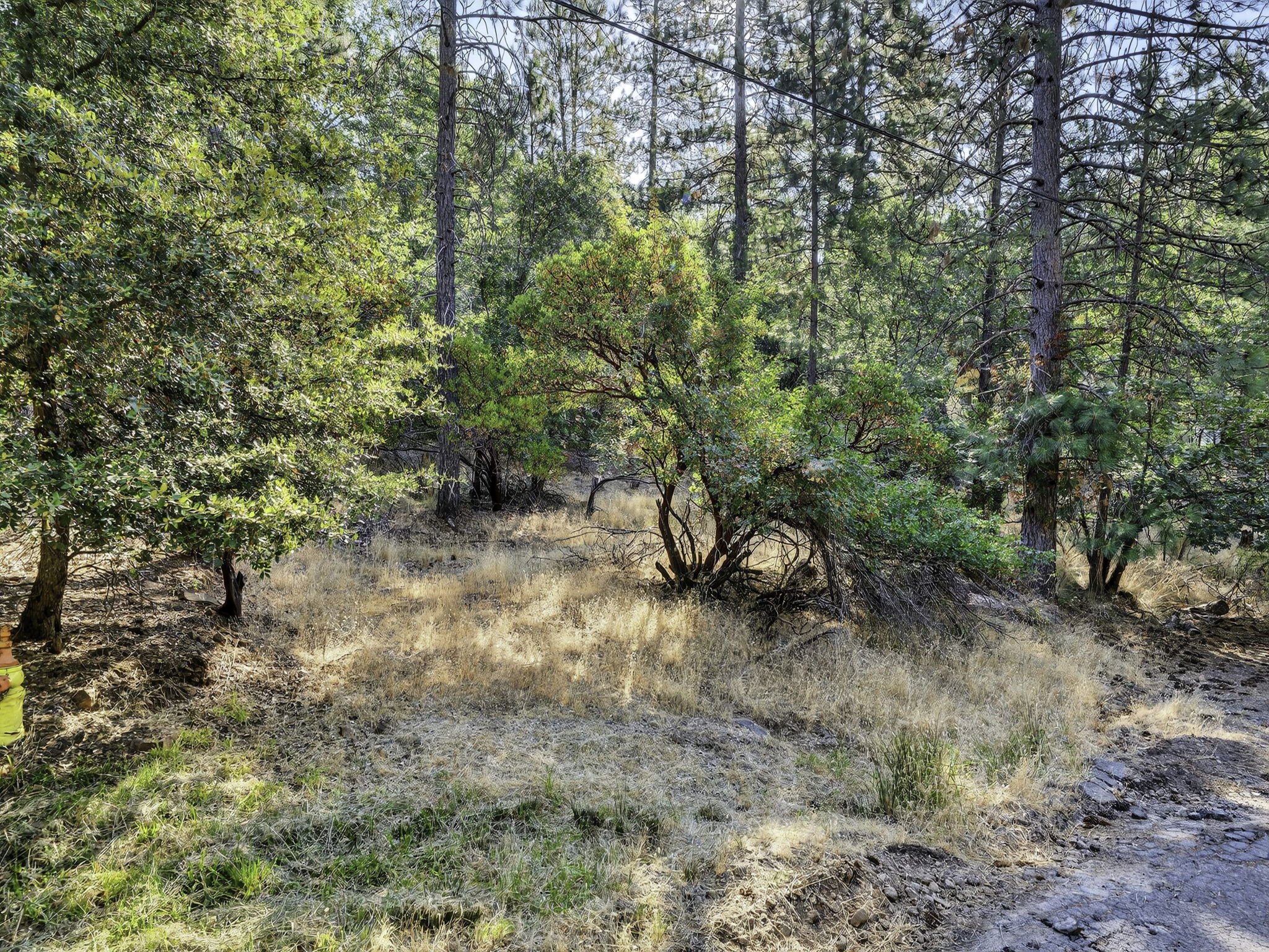 Manzanita Ct 16370 10-web-or-mls-DSC00405.jpg