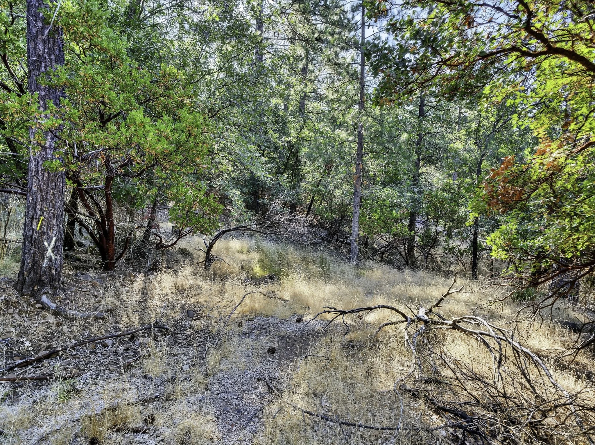 Manzanita Ct 16370 12-web-or-mls-DSC00414.jpg