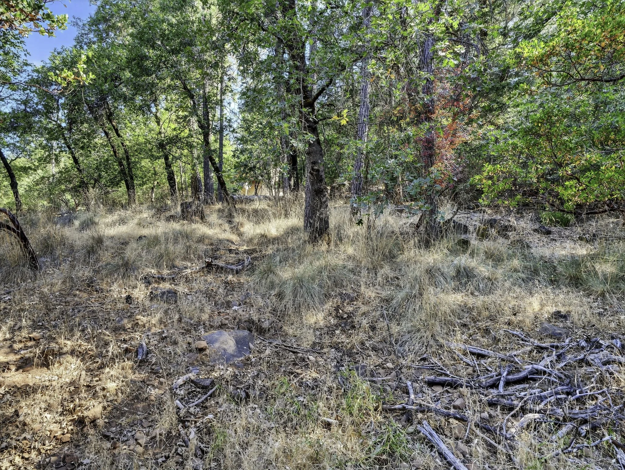 Manzanita Ct 16370 13-web-or-mls-DSC00423.jpg