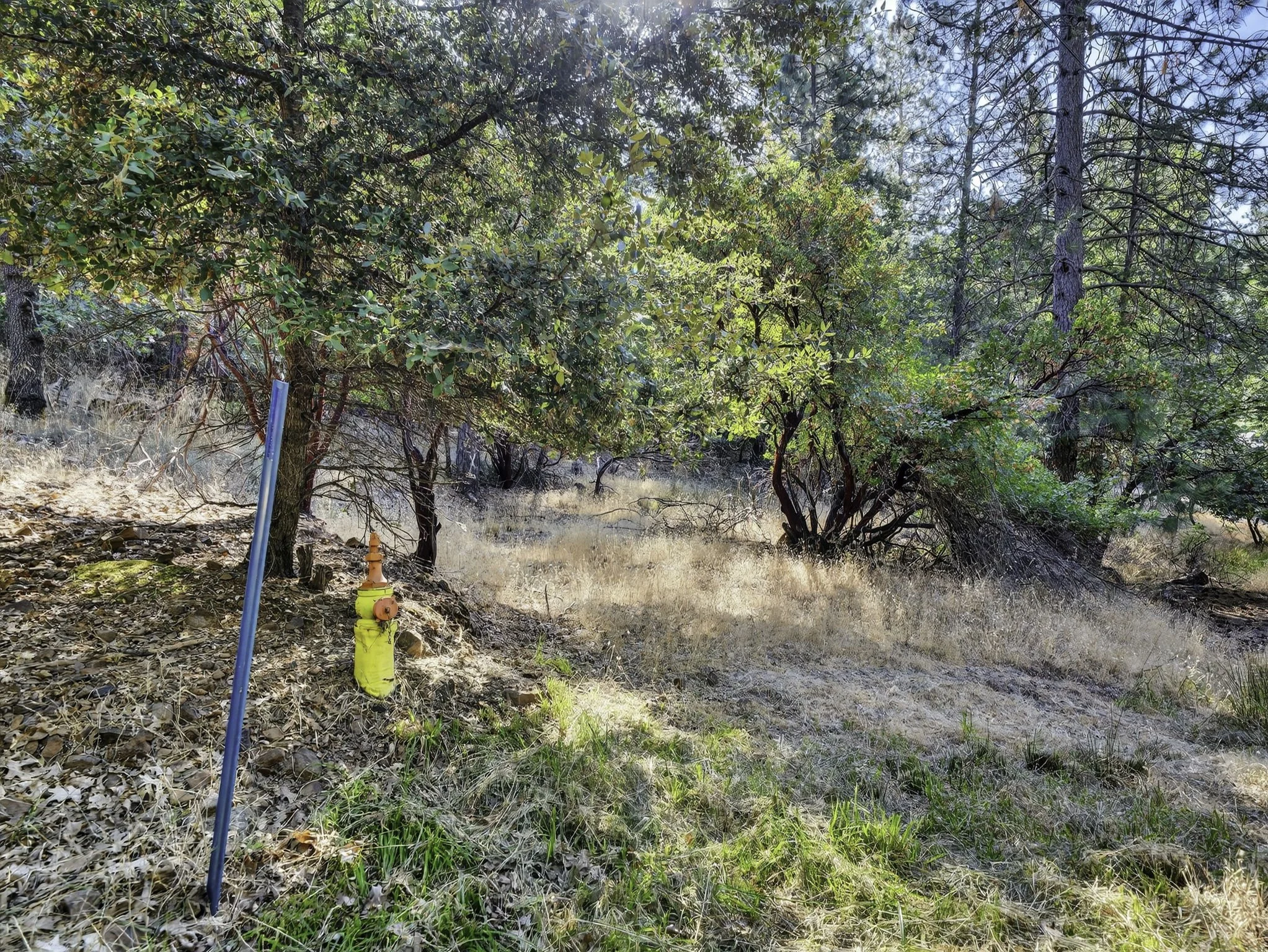 Manzanita Ct 16370 14-web-or-mls-DSC00424.jpg