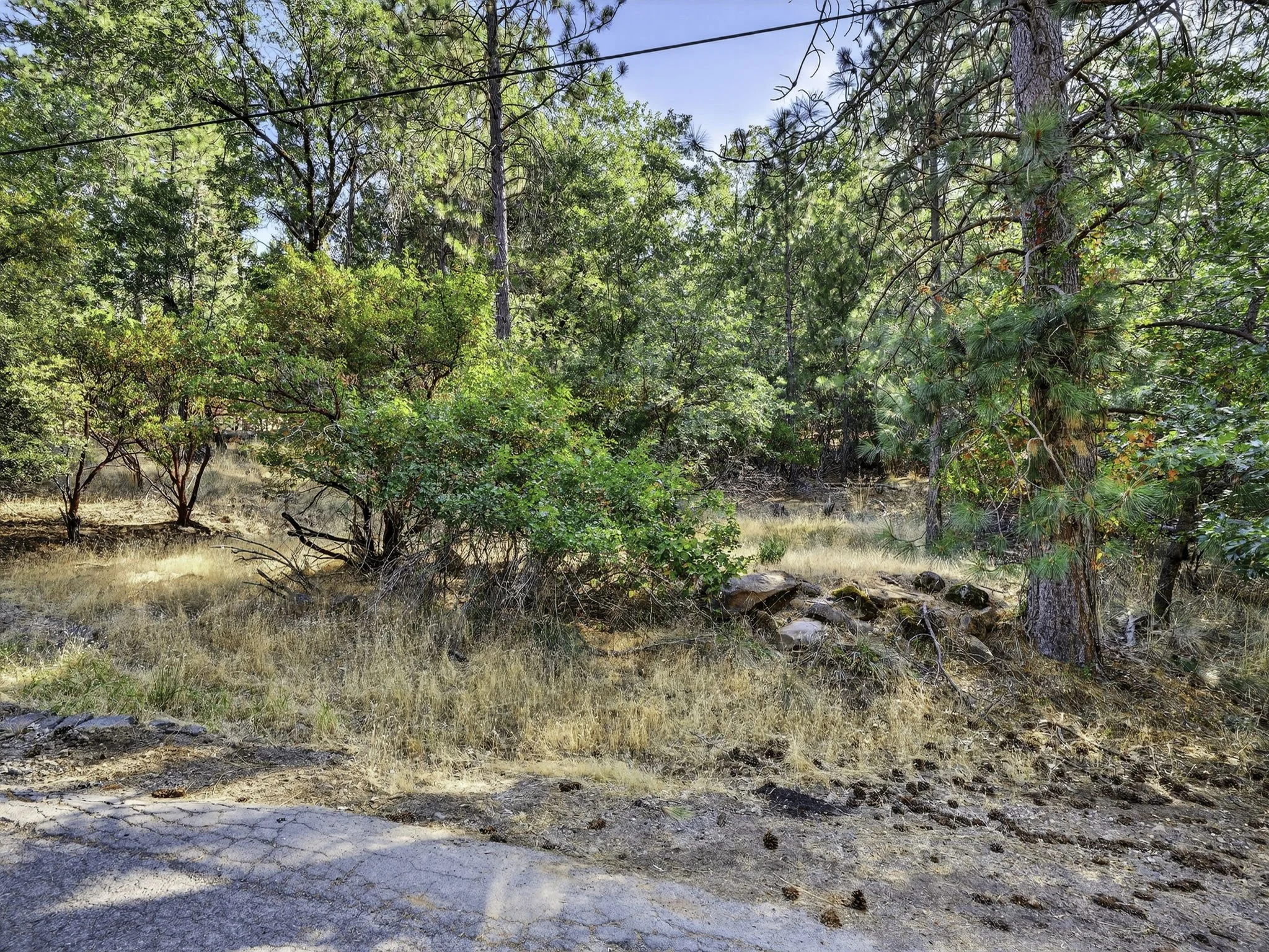 Manzanita Ct 16370 15-web-or-mls-DSC00432.jpg