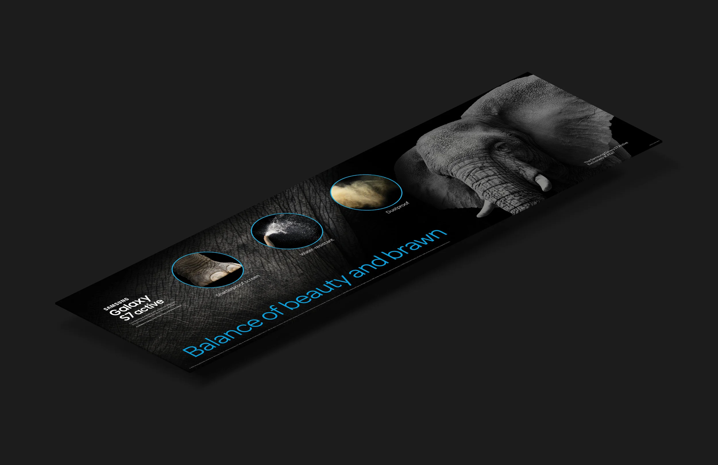 Elephant_OEM_Display.jpg
