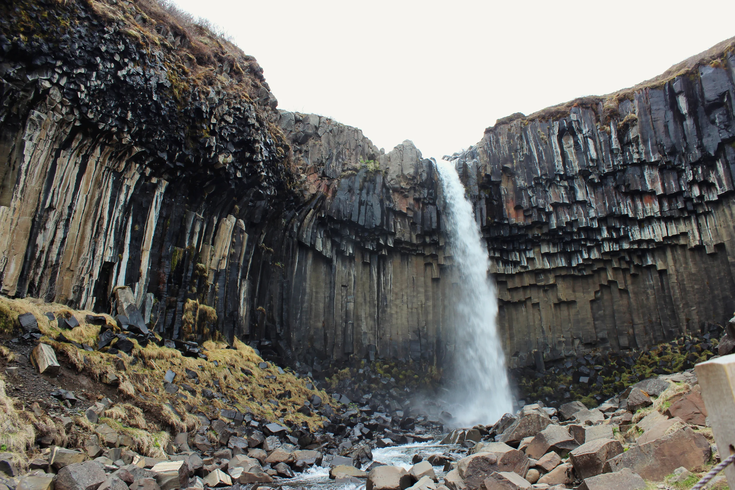 Svartifoss | Skaftafell, Iceland