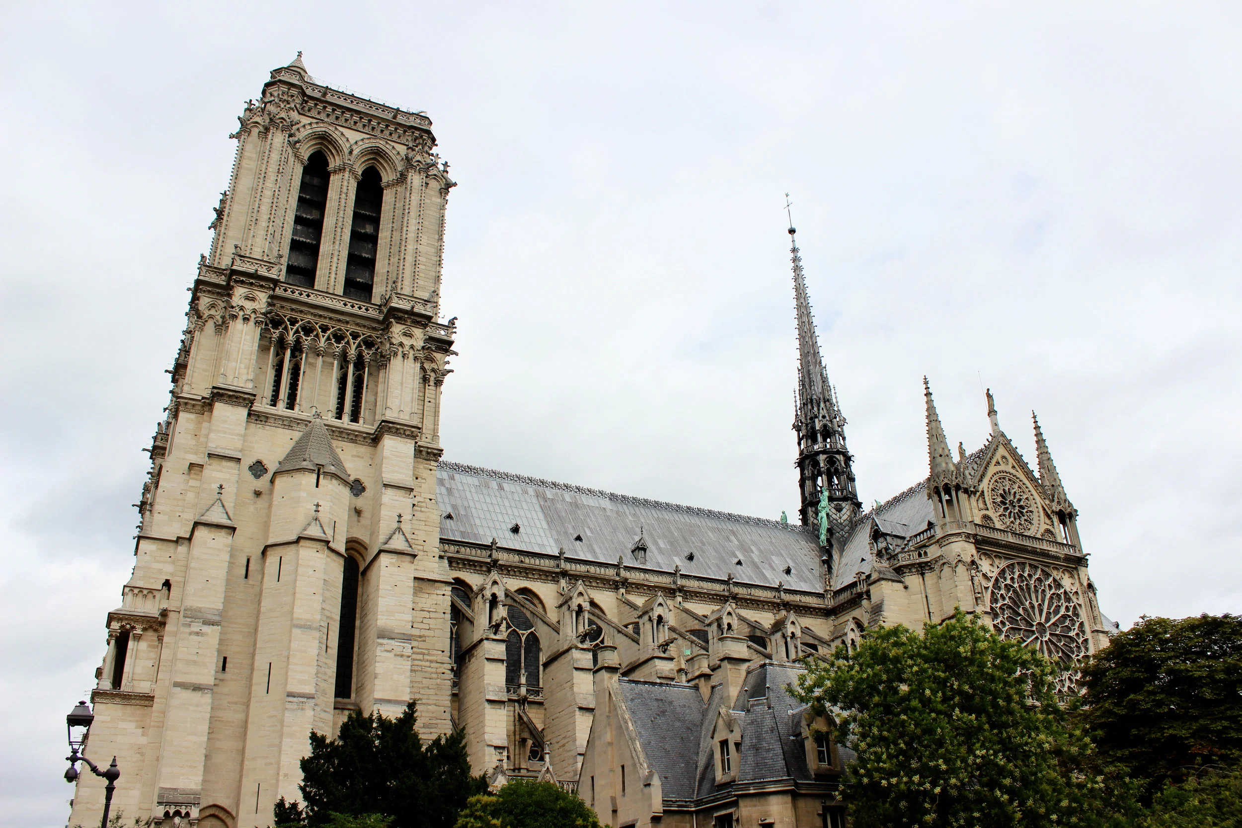 IMG_7427.jpg