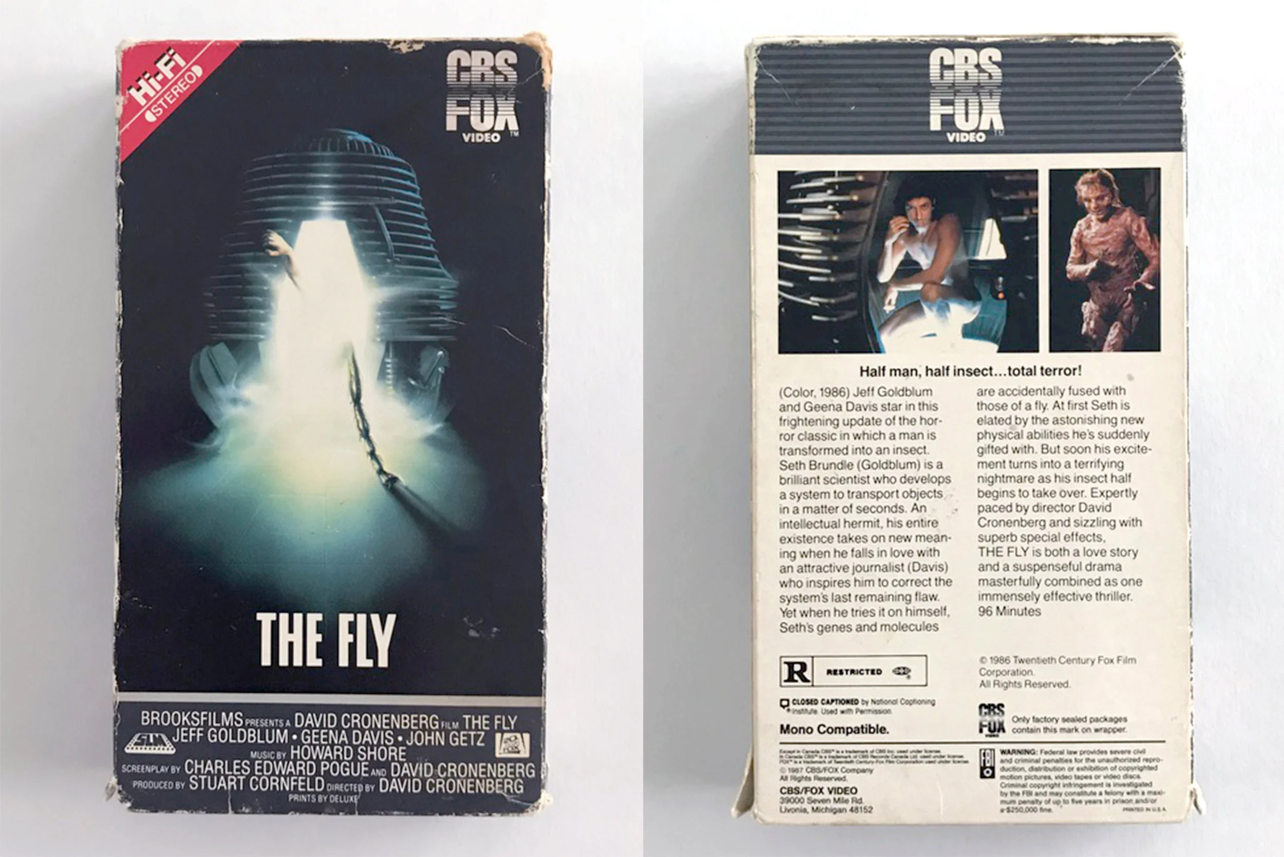 TheFly.jpg