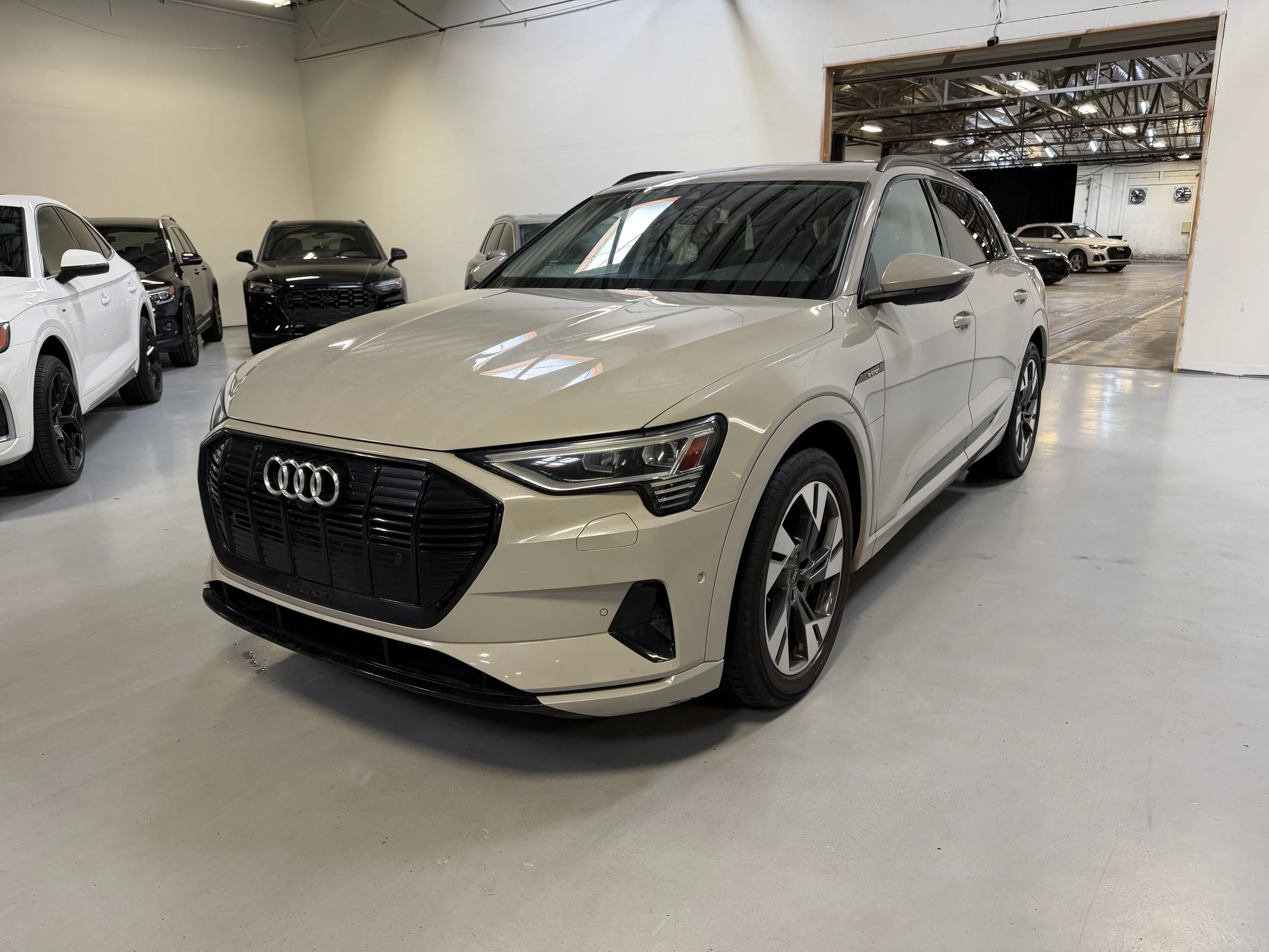 IMG_8847.jpeg