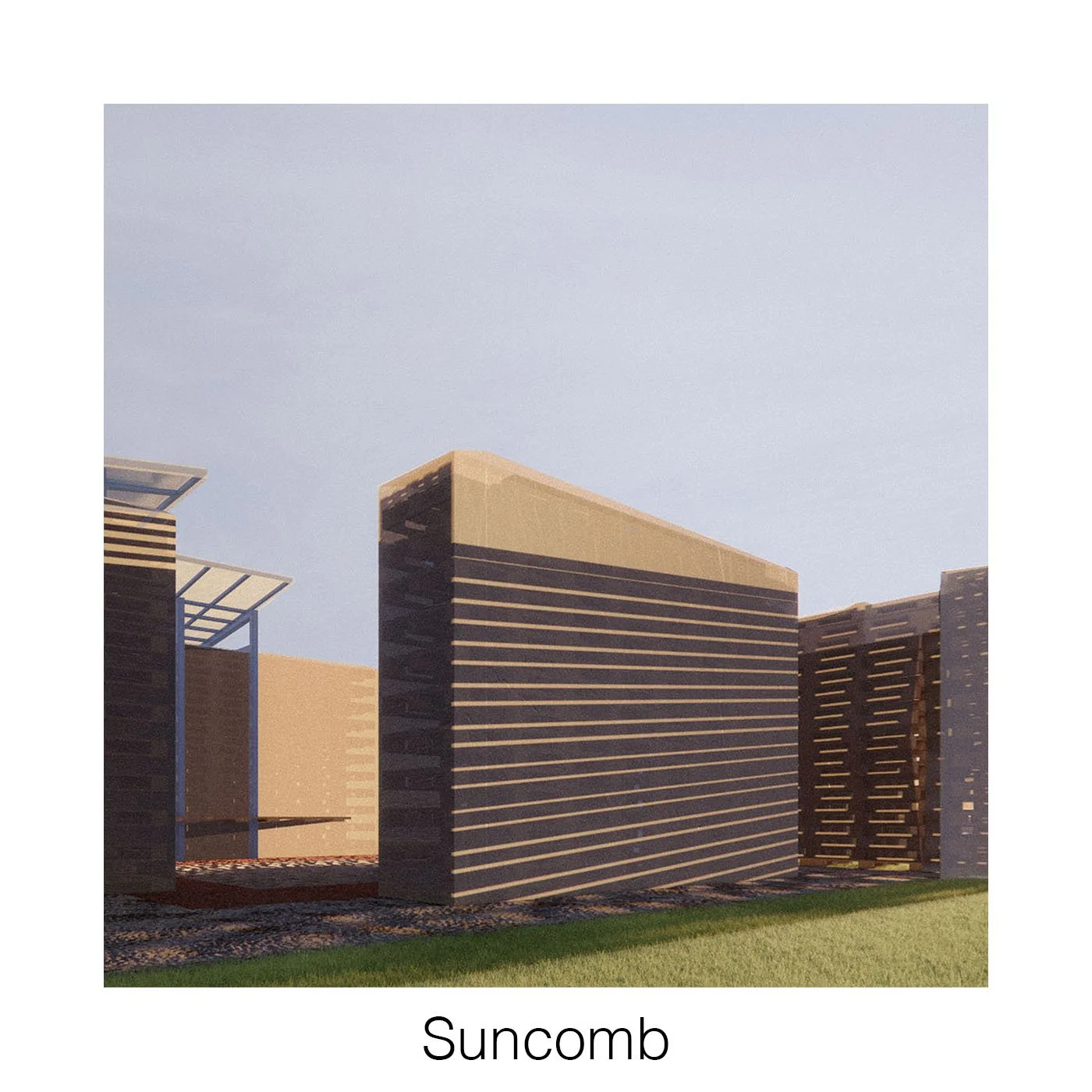 _th_suncomb.jpg