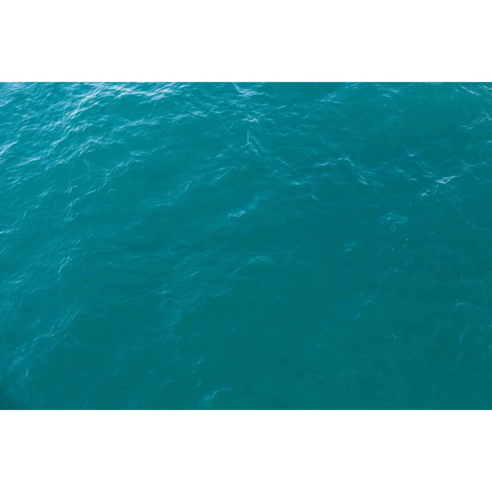 PRINTS Z5.JPG