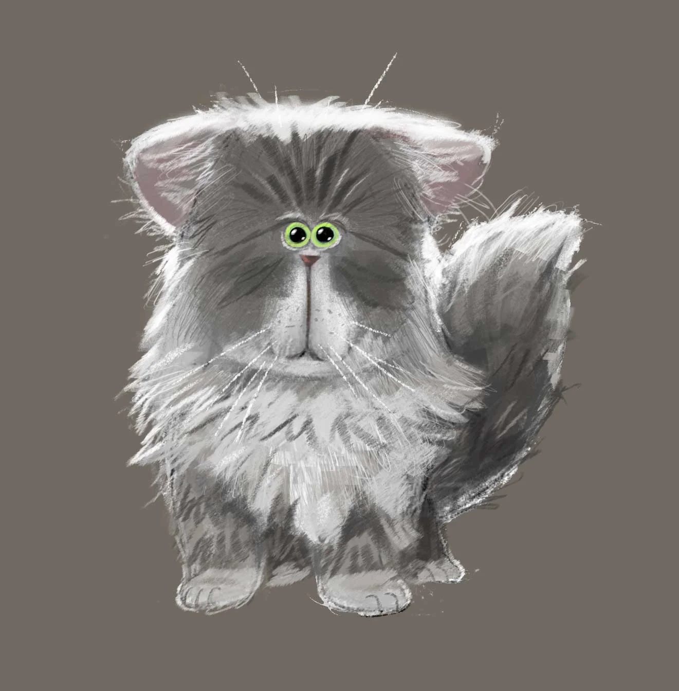 cat.jpg