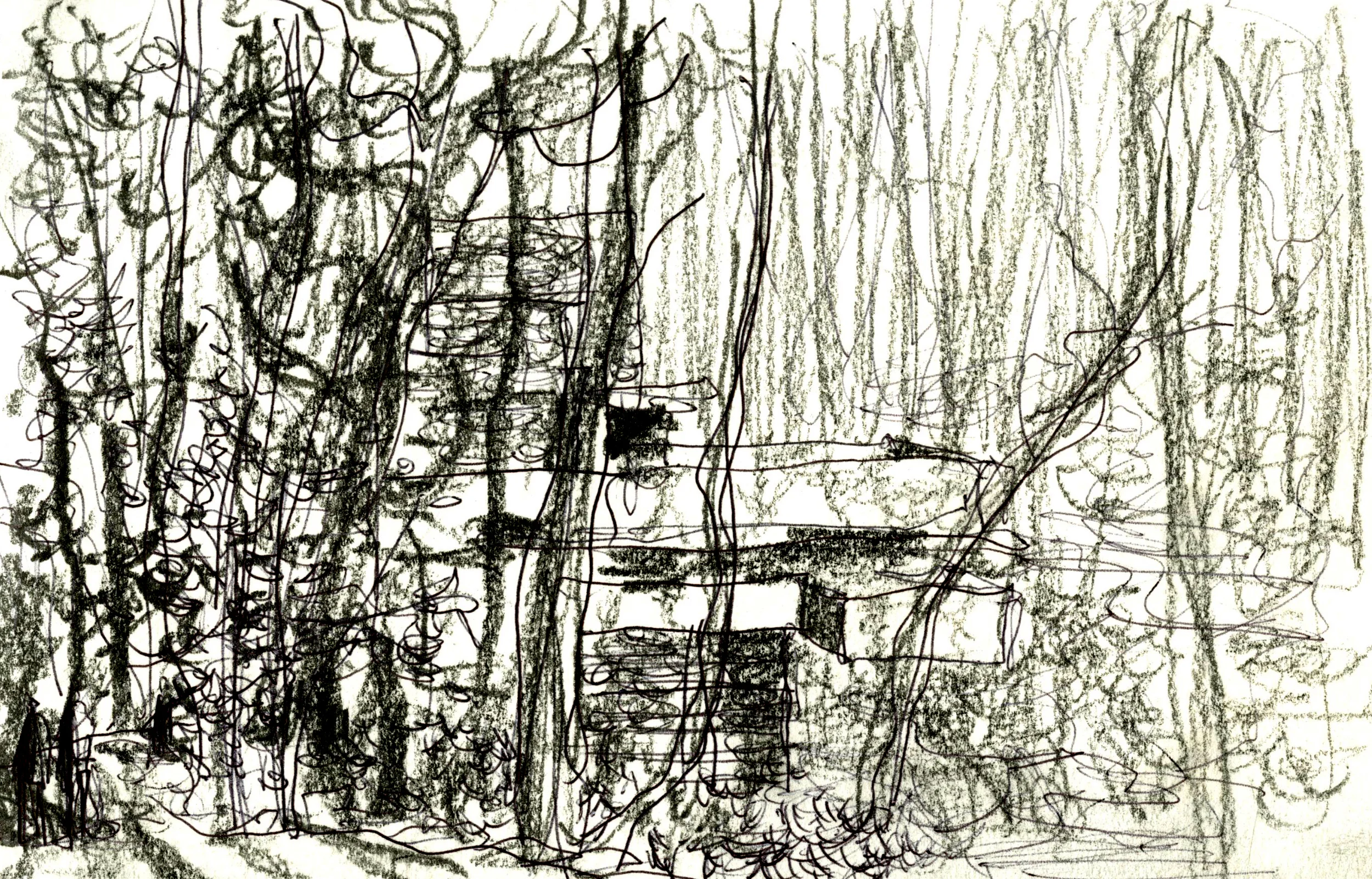 Fallingwater 1