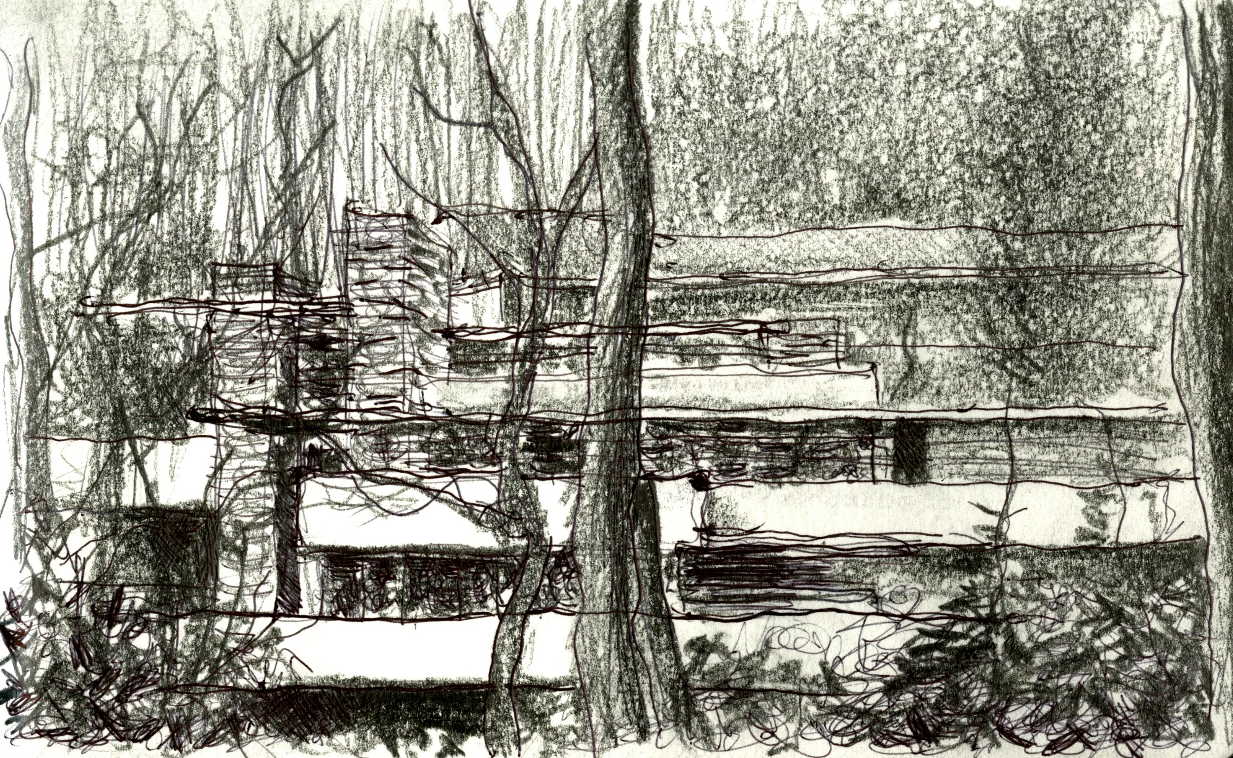 Fallingwater 2