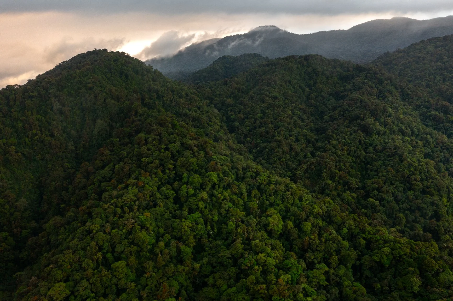 Escalator to Extinction - Michiel van Noppen-2-2.jpg