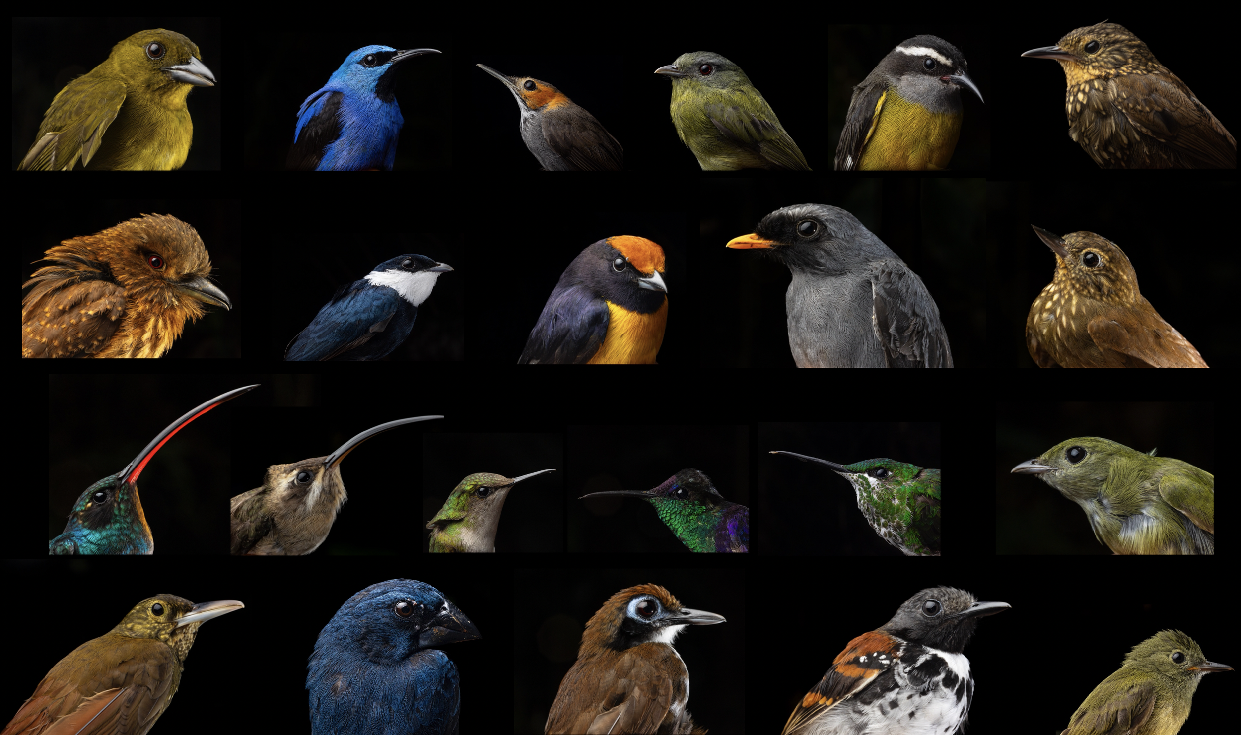 Schermafbeelding 2025-12-19 om 17.12.16.png