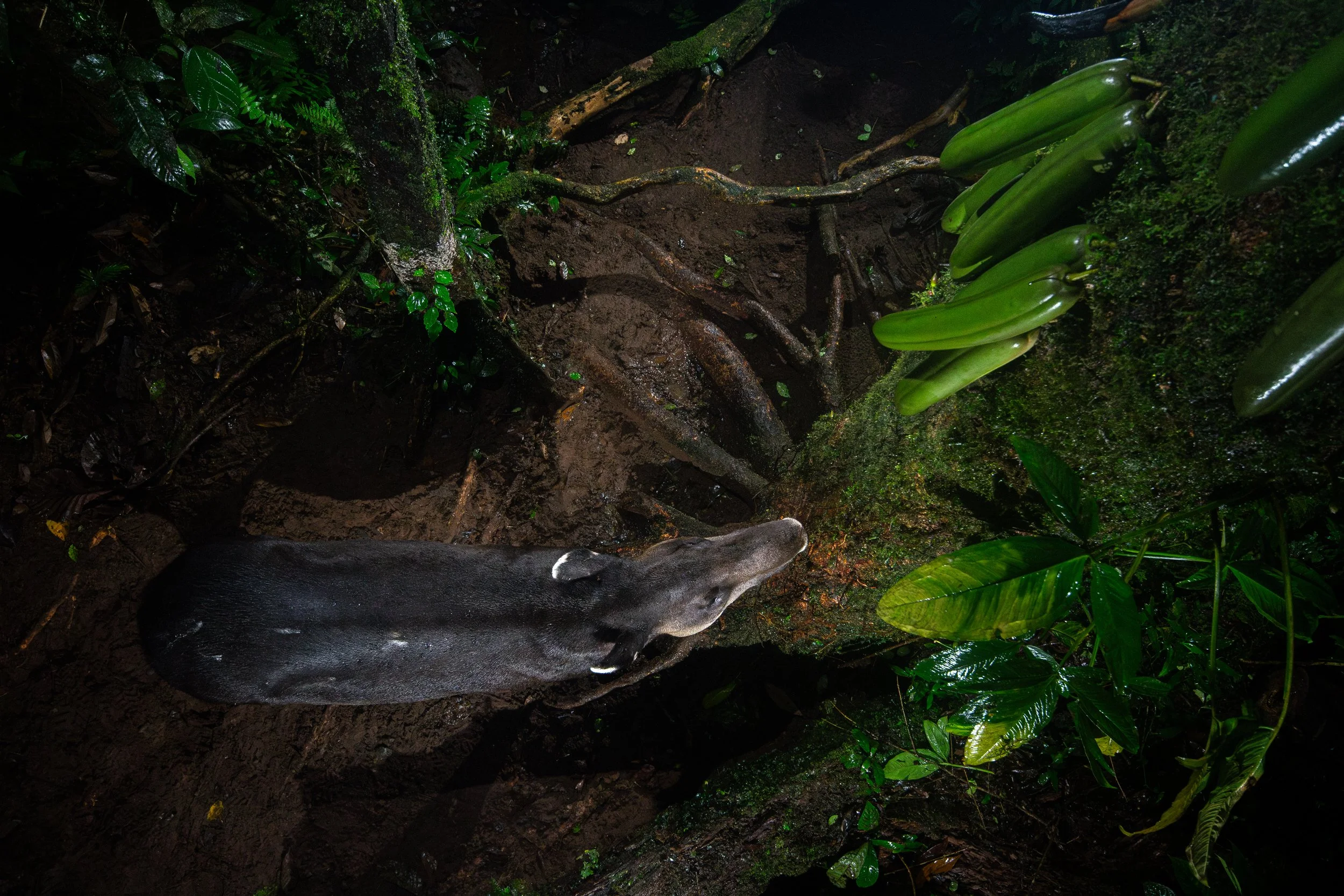 29 oktober 2024_135.jpg