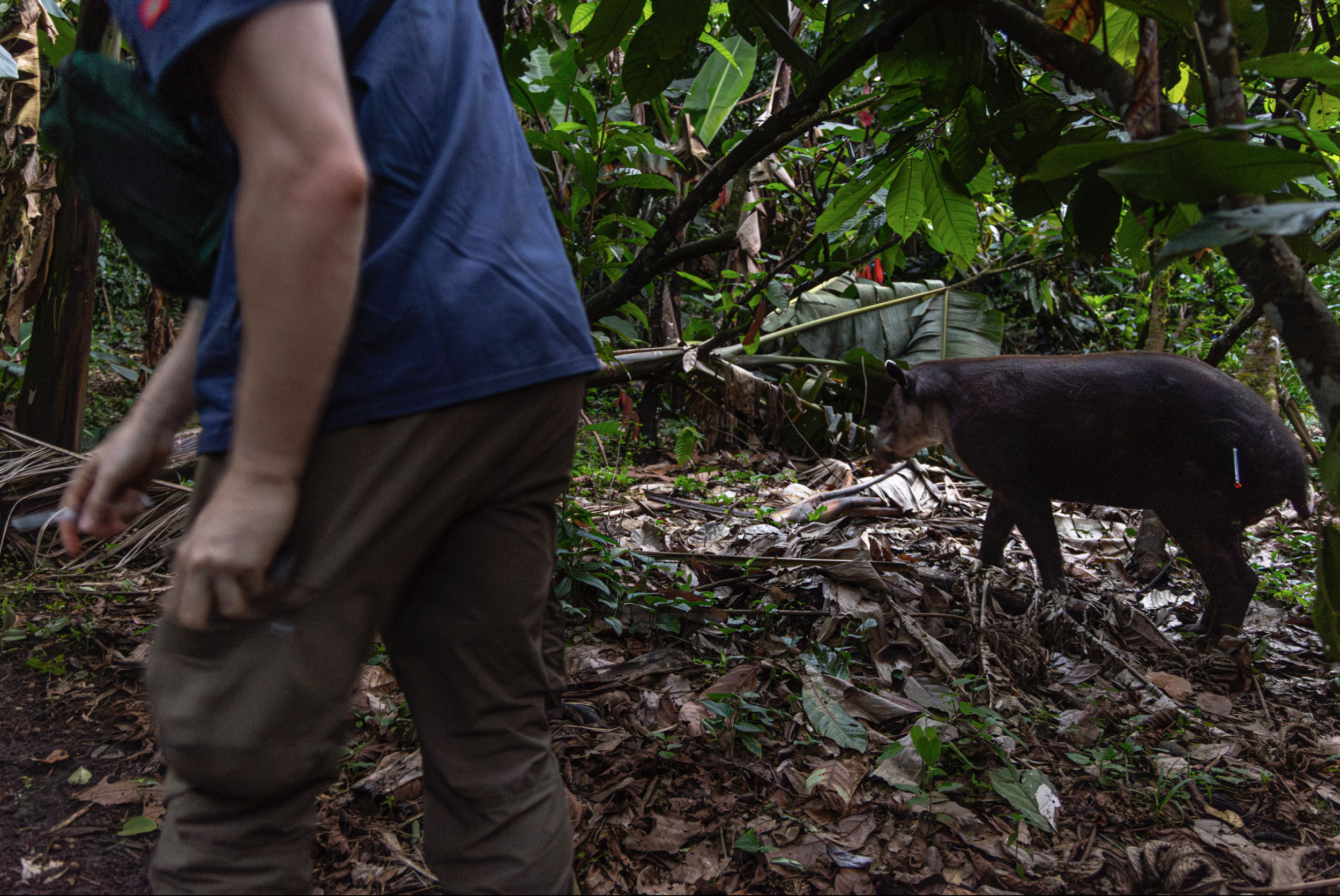 Schermafbeelding 2026-02-01 om 12.48.50.png