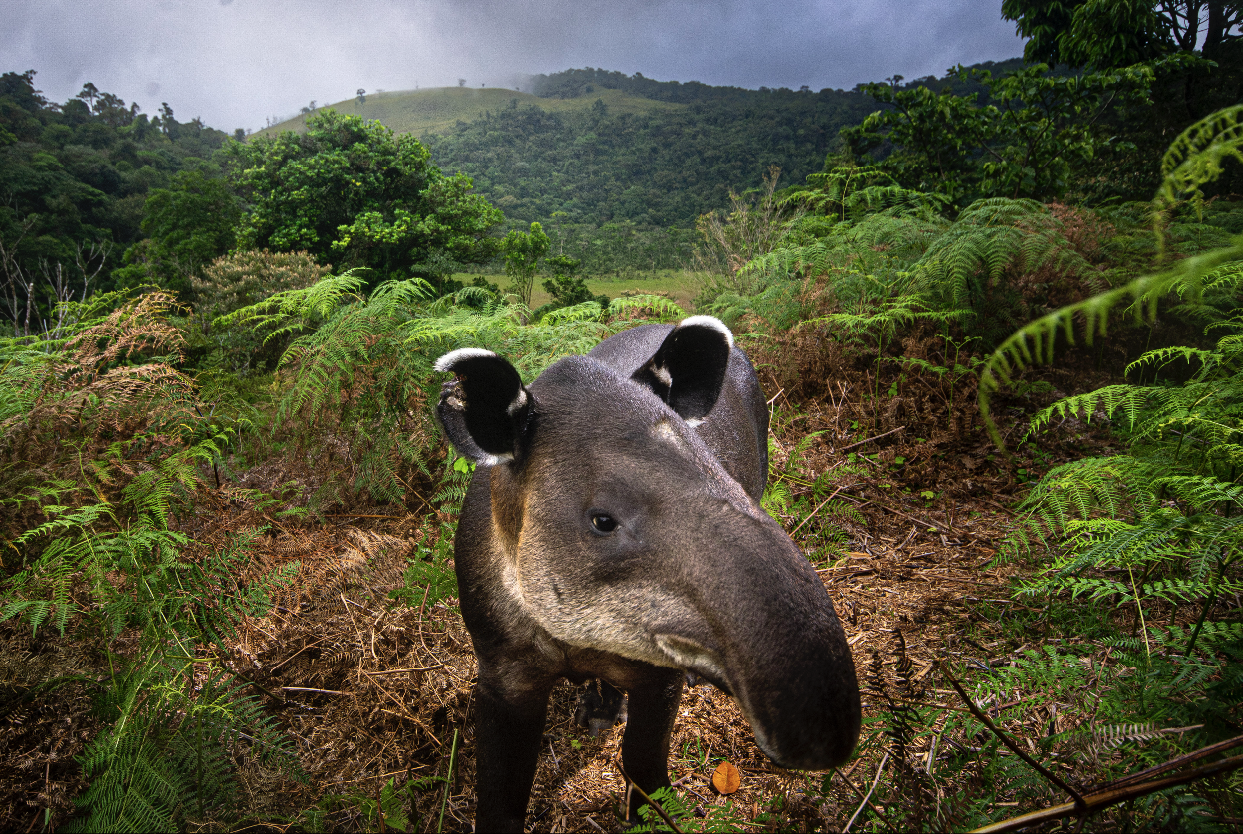 Schermafbeelding 2026-02-01 om 12.48.32.png