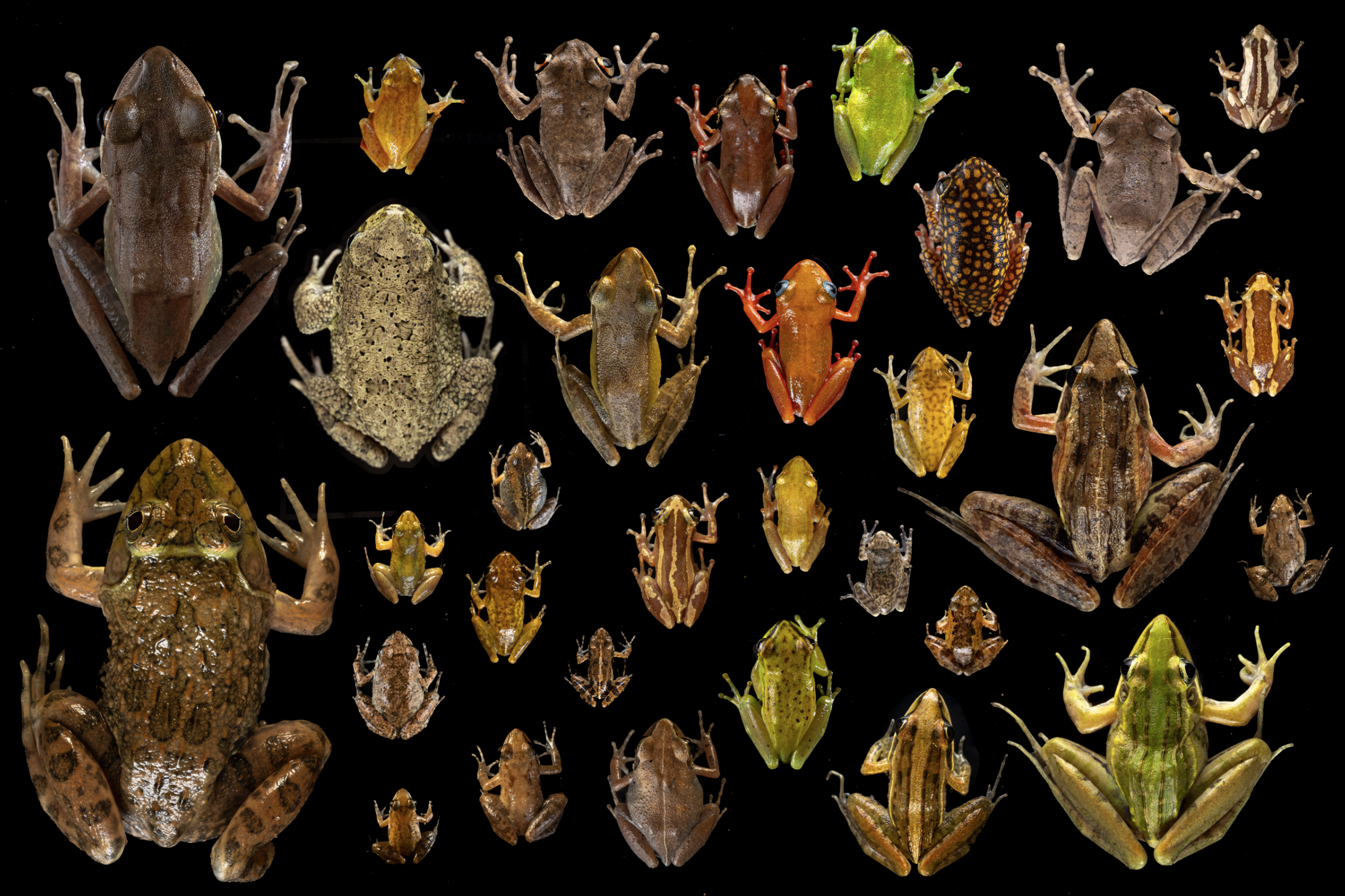 Schermafbeelding 2024-10-19 om 14.49.34.png