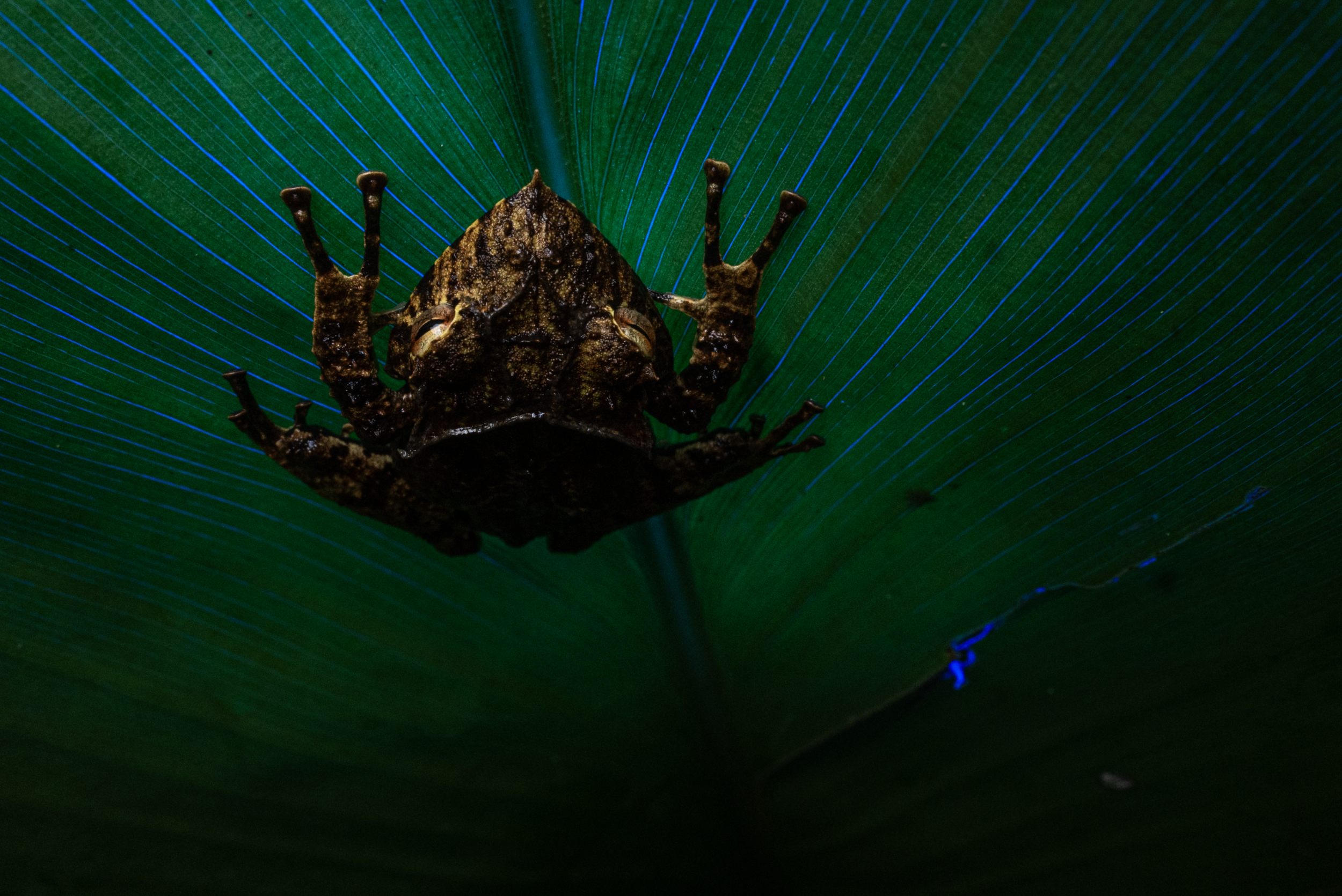 Schermafbeelding 2026-03-27 om 21.01.18.png