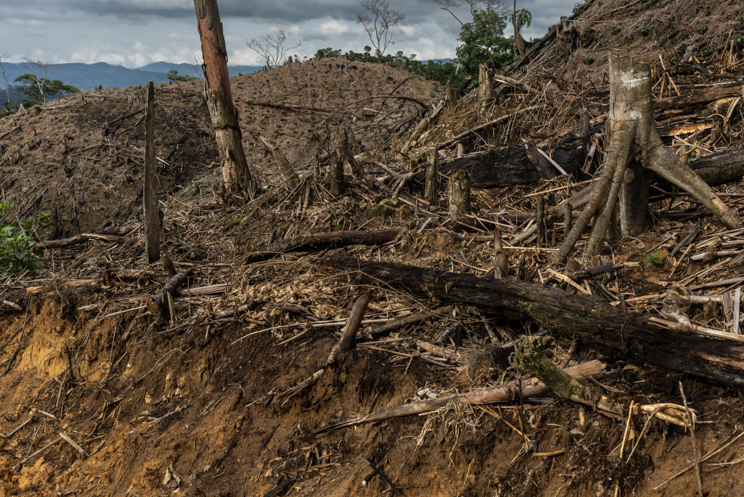 Schermafbeelding 2026-03-28 om 18.47.38.png