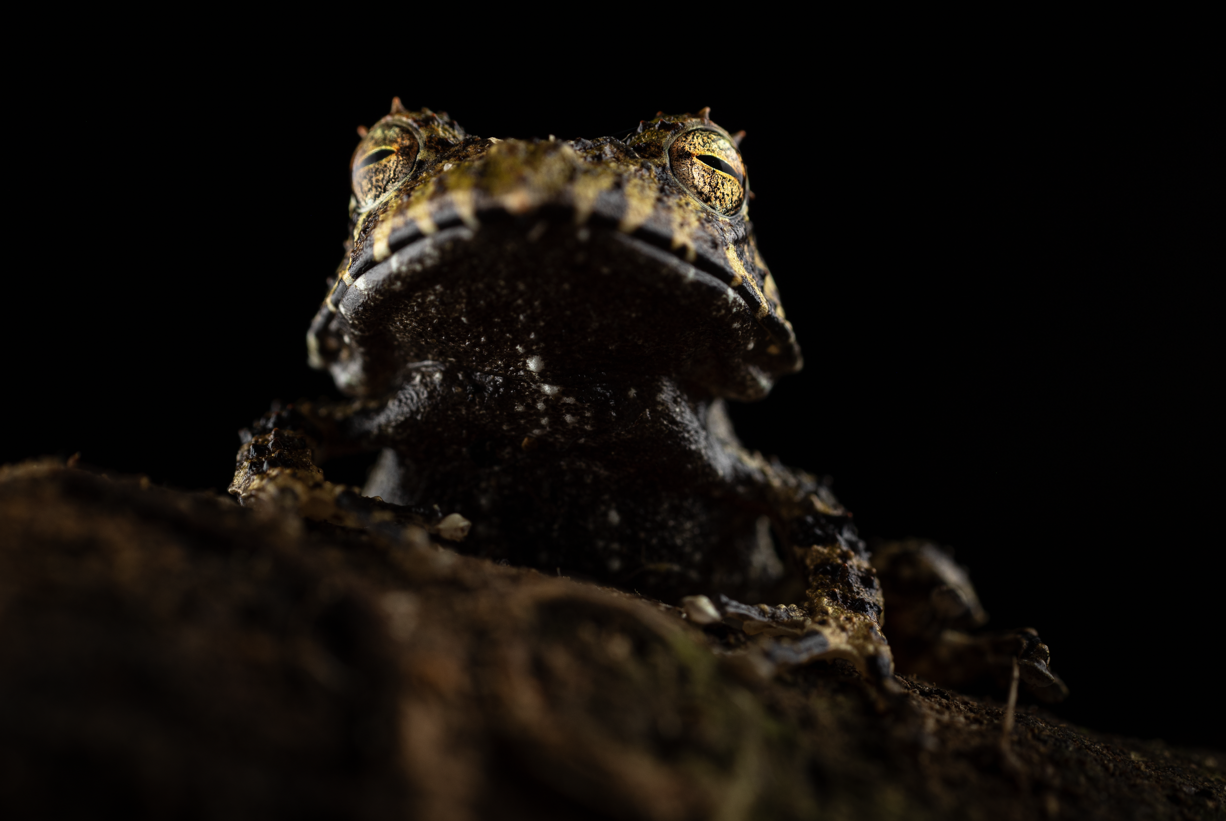 Schermafbeelding 2026-03-27 om 21.00.40.png