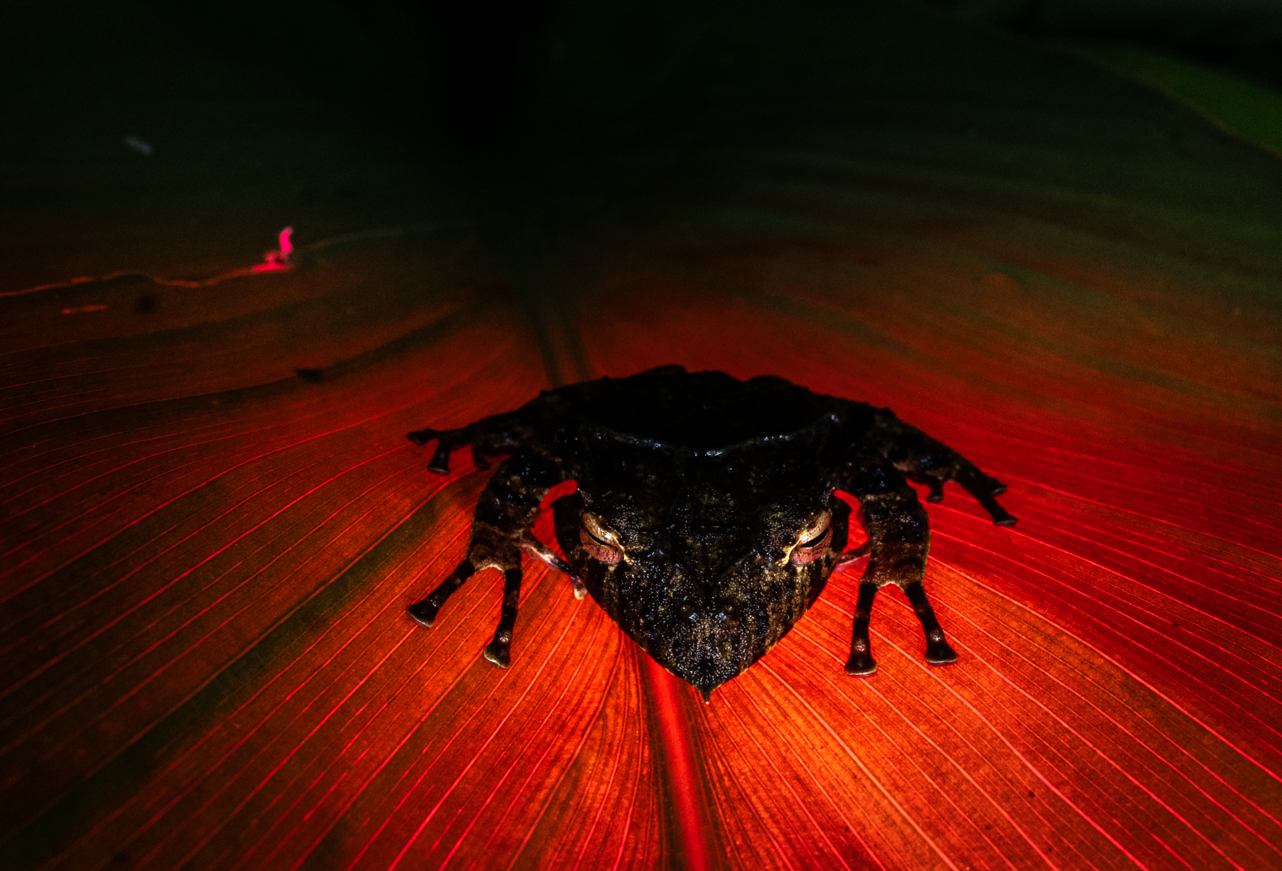 Schermafbeelding 2026-03-27 om 21.01.08.png