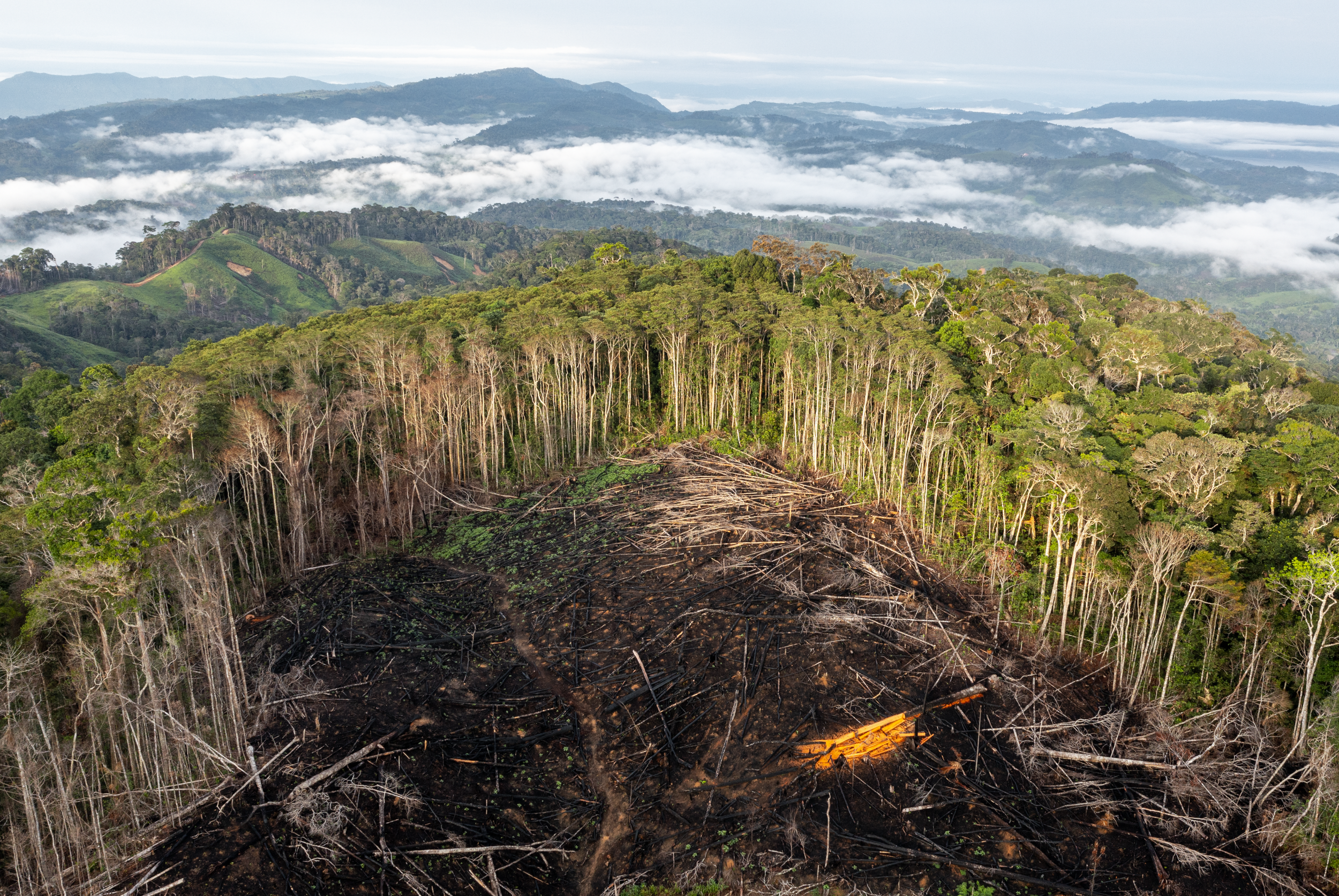 Schermafbeelding 2026-03-28 om 21.43.28.png