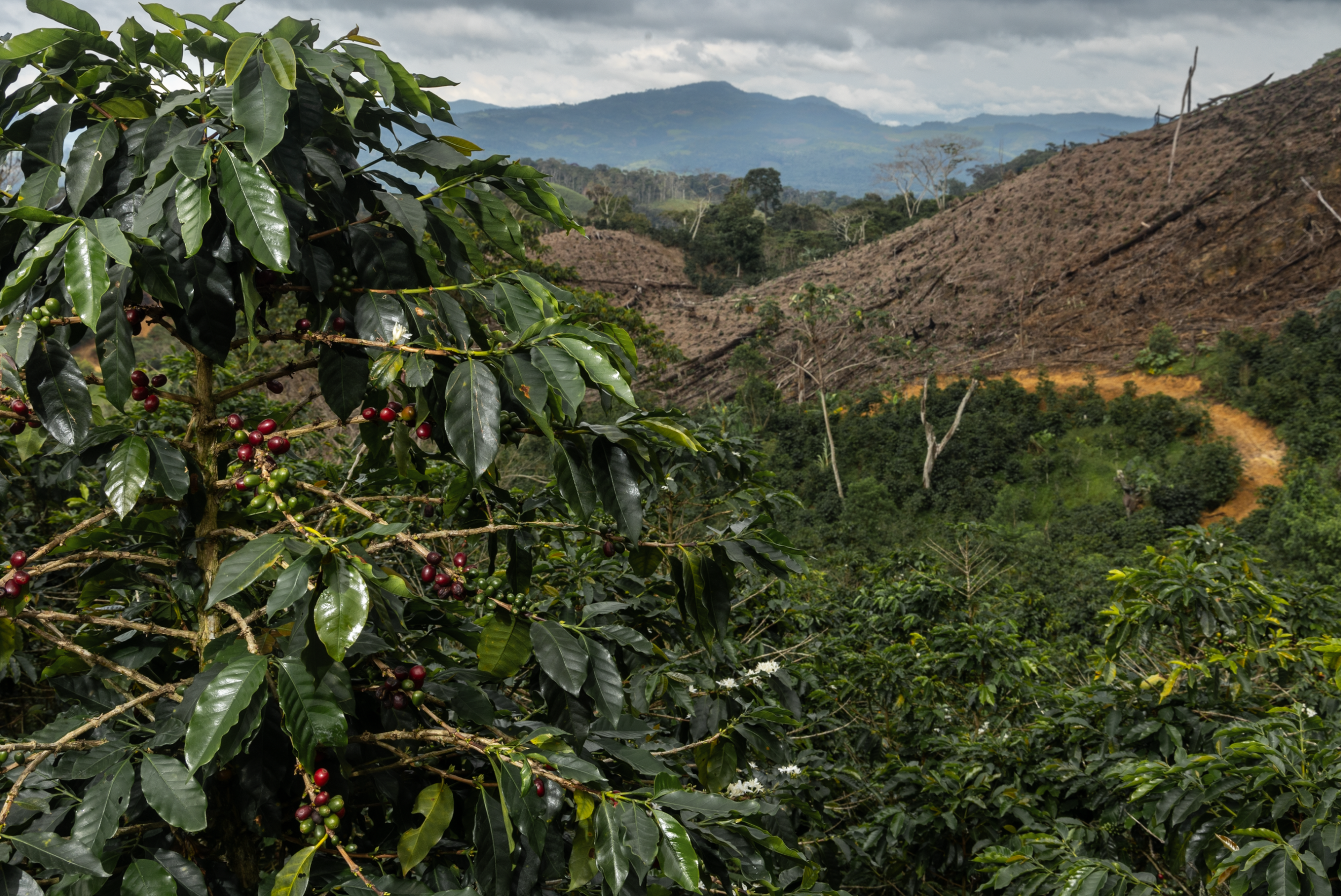 Schermafbeelding 2026-03-28 om 18.47.22.png
