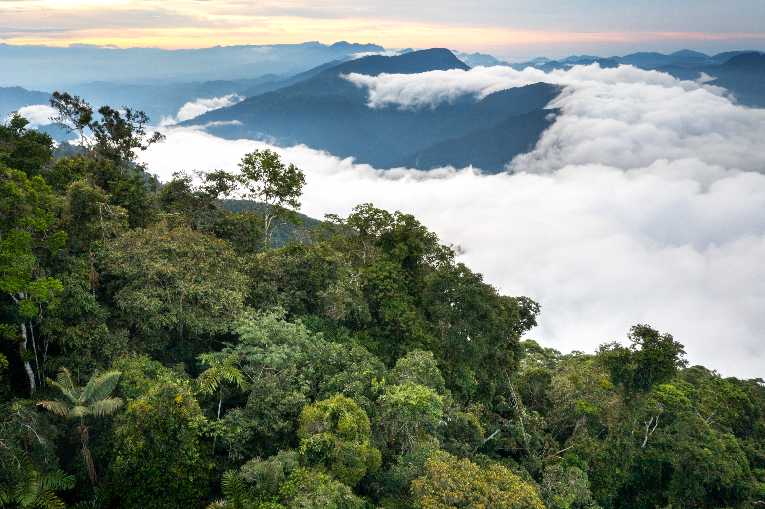 Schermafbeelding 2026-03-29 om 16.47.56.png