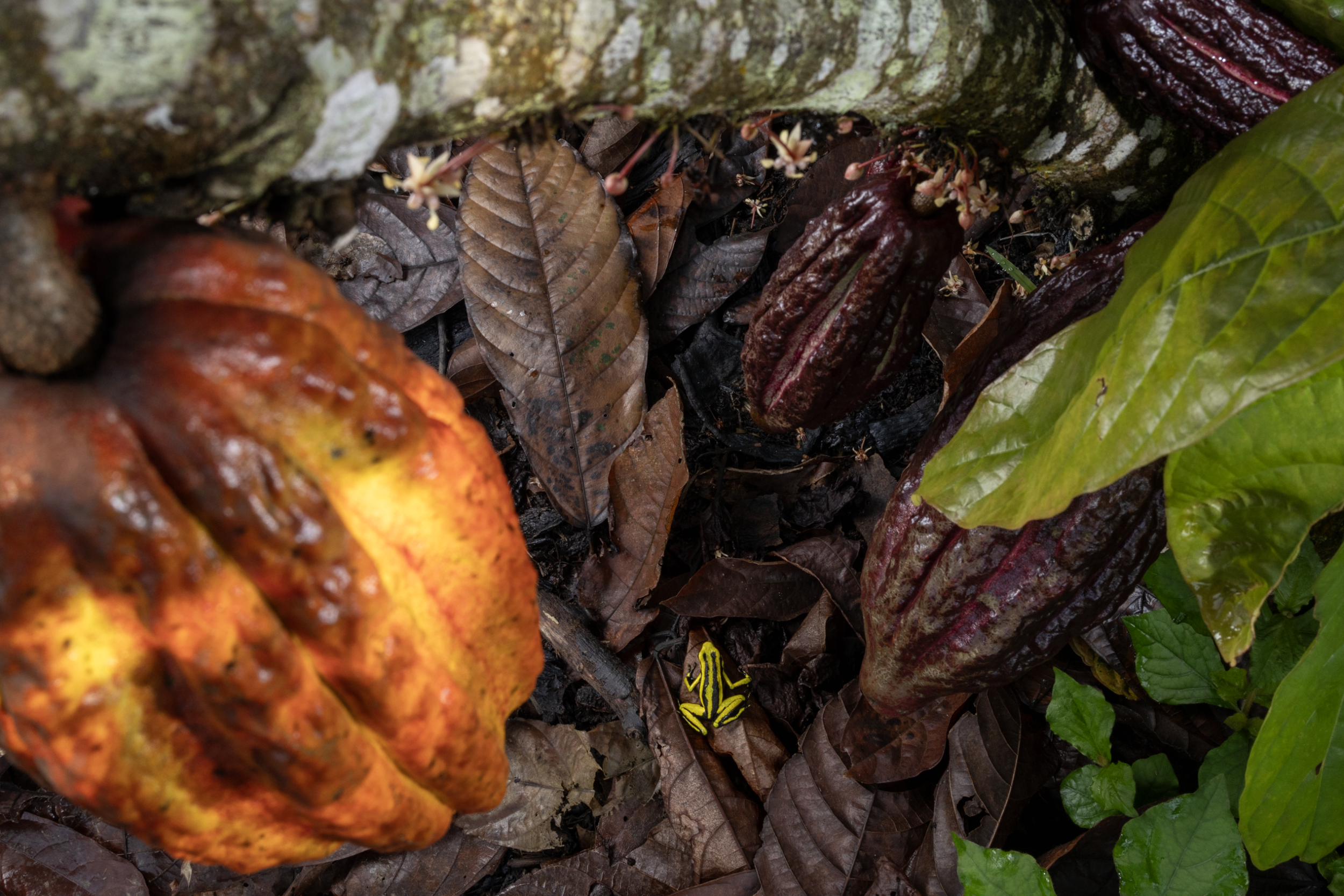 Schermafbeelding 2026-03-29 om 17.32.37.png