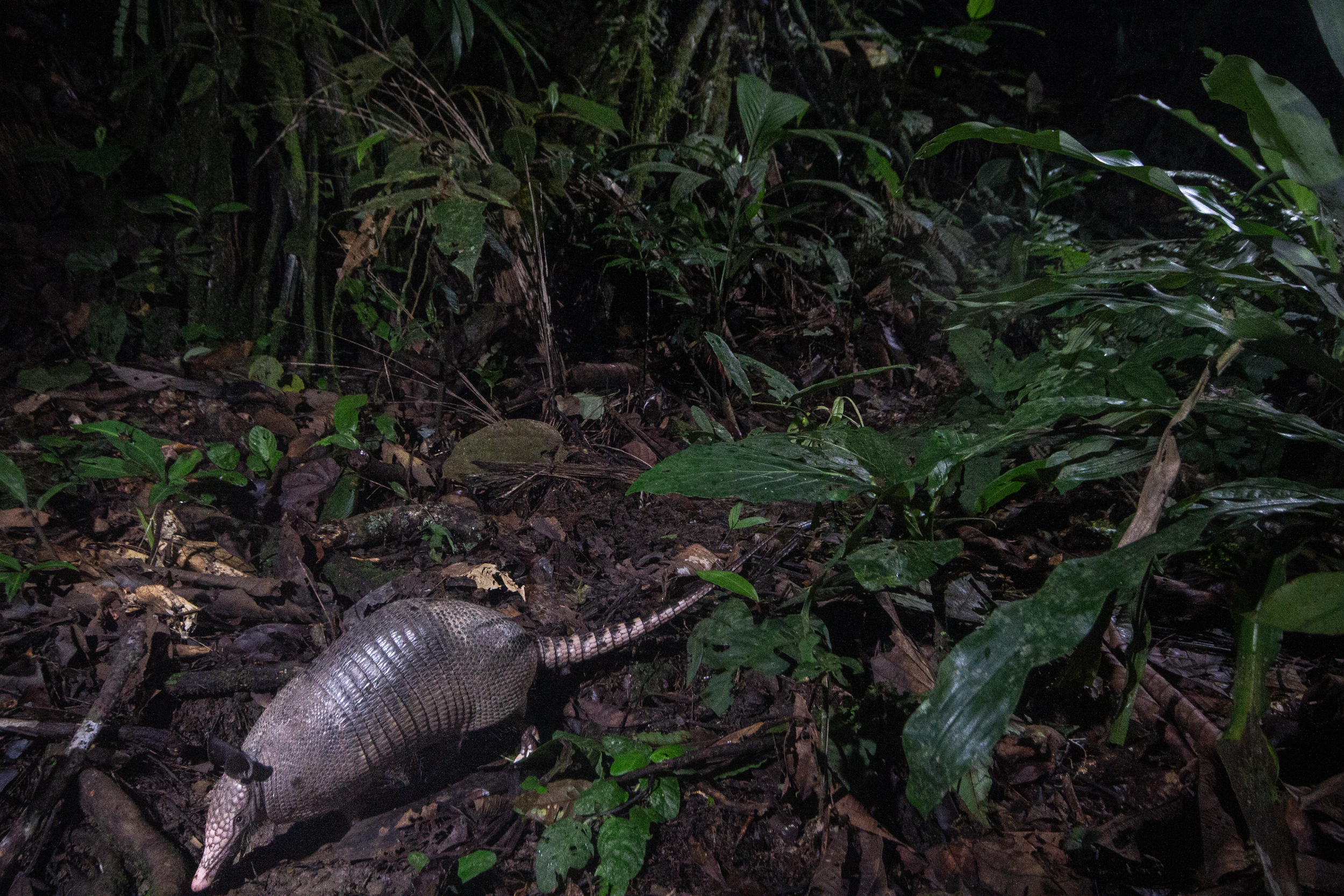 Schermafbeelding 2026-03-29 om 17.25.07.png