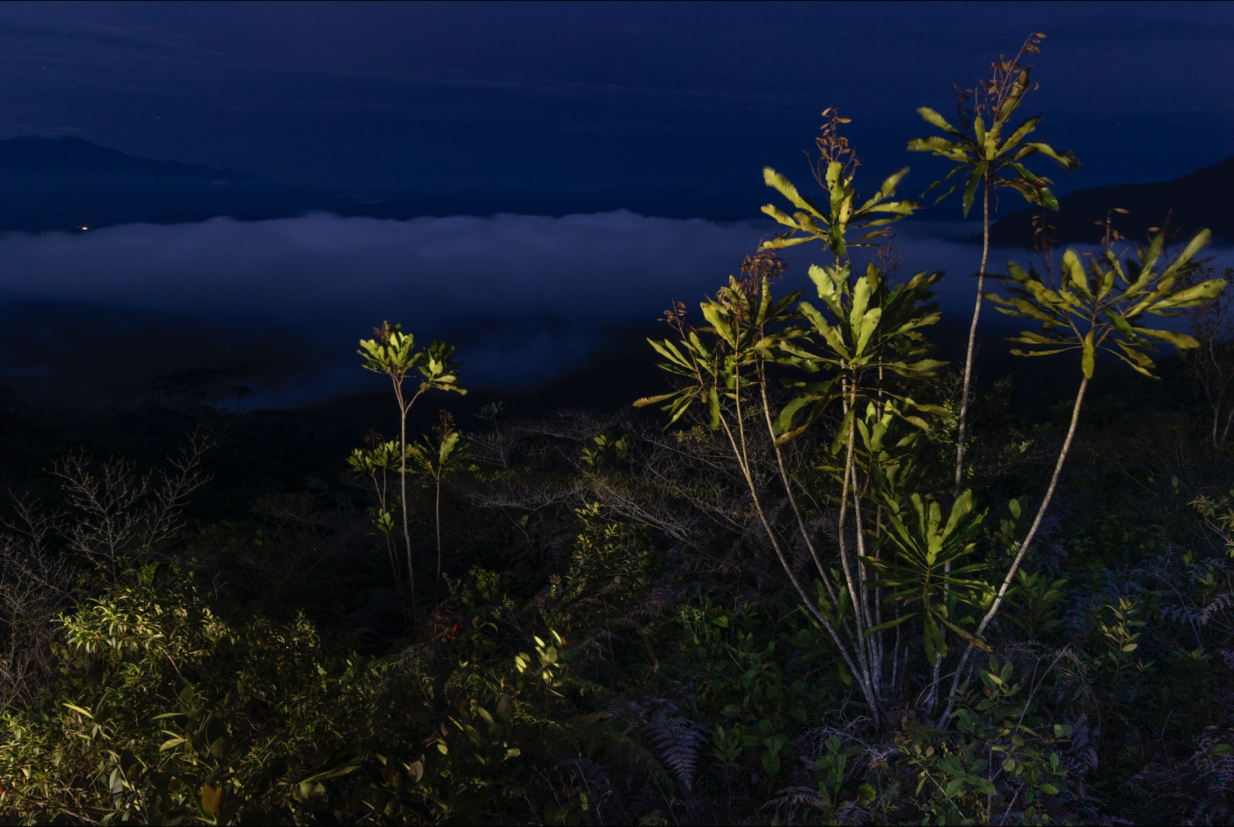 Scherm­afbeelding 2026-04-07 om 22.45.56.png