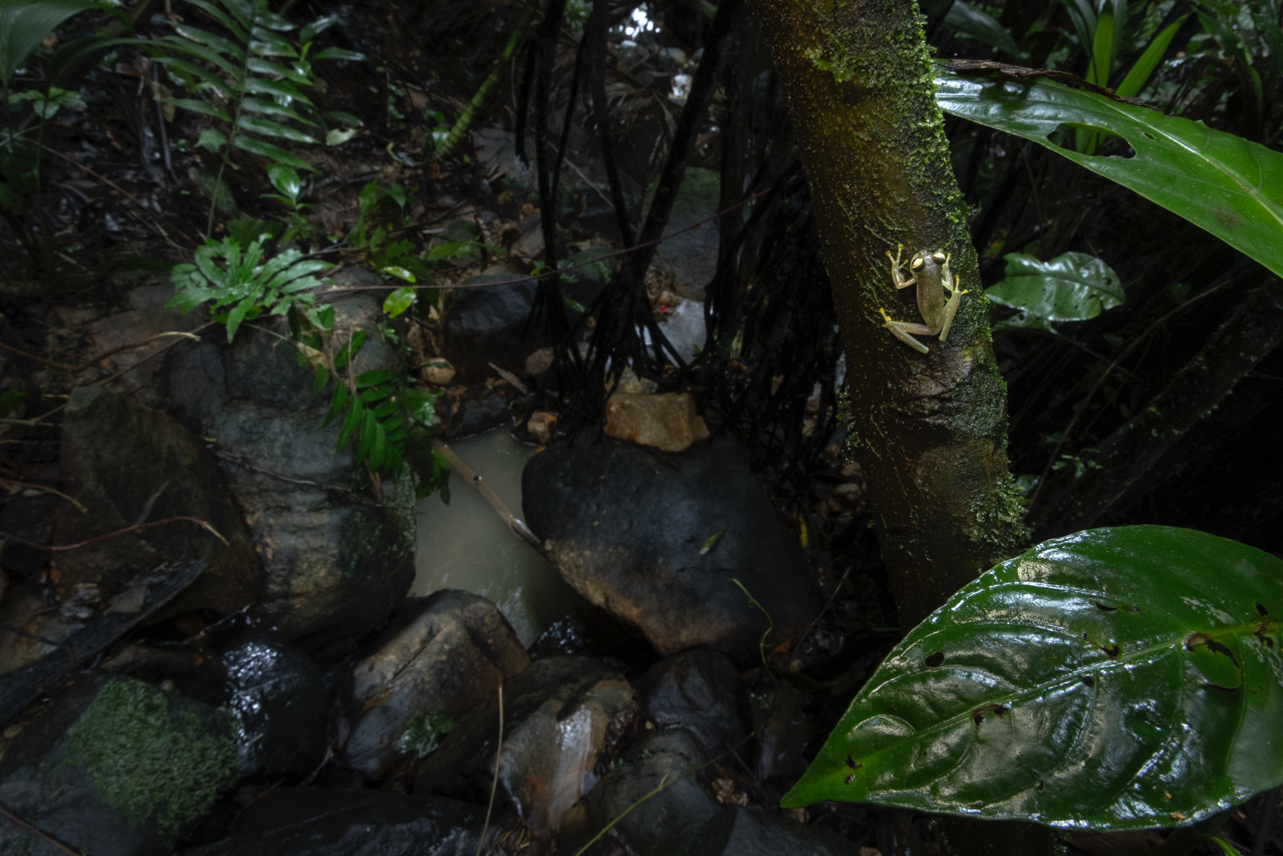 Scherm­afbeelding 2026-04-07 om 22.46.23.png