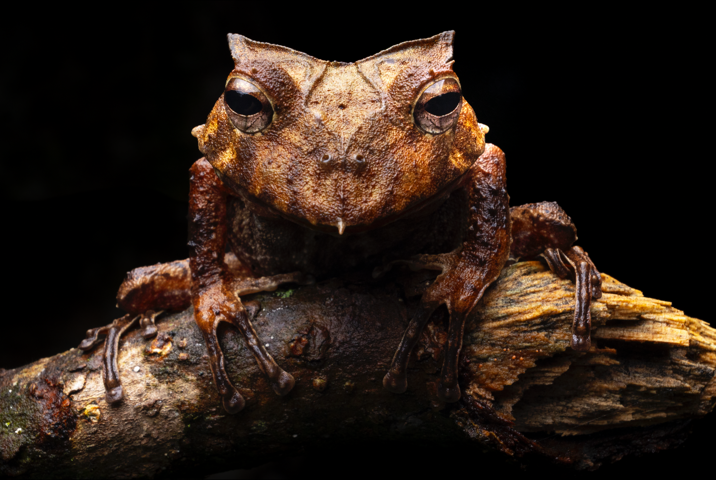 Scherm­afbeelding 2026-04-07 om 22.45.25.png