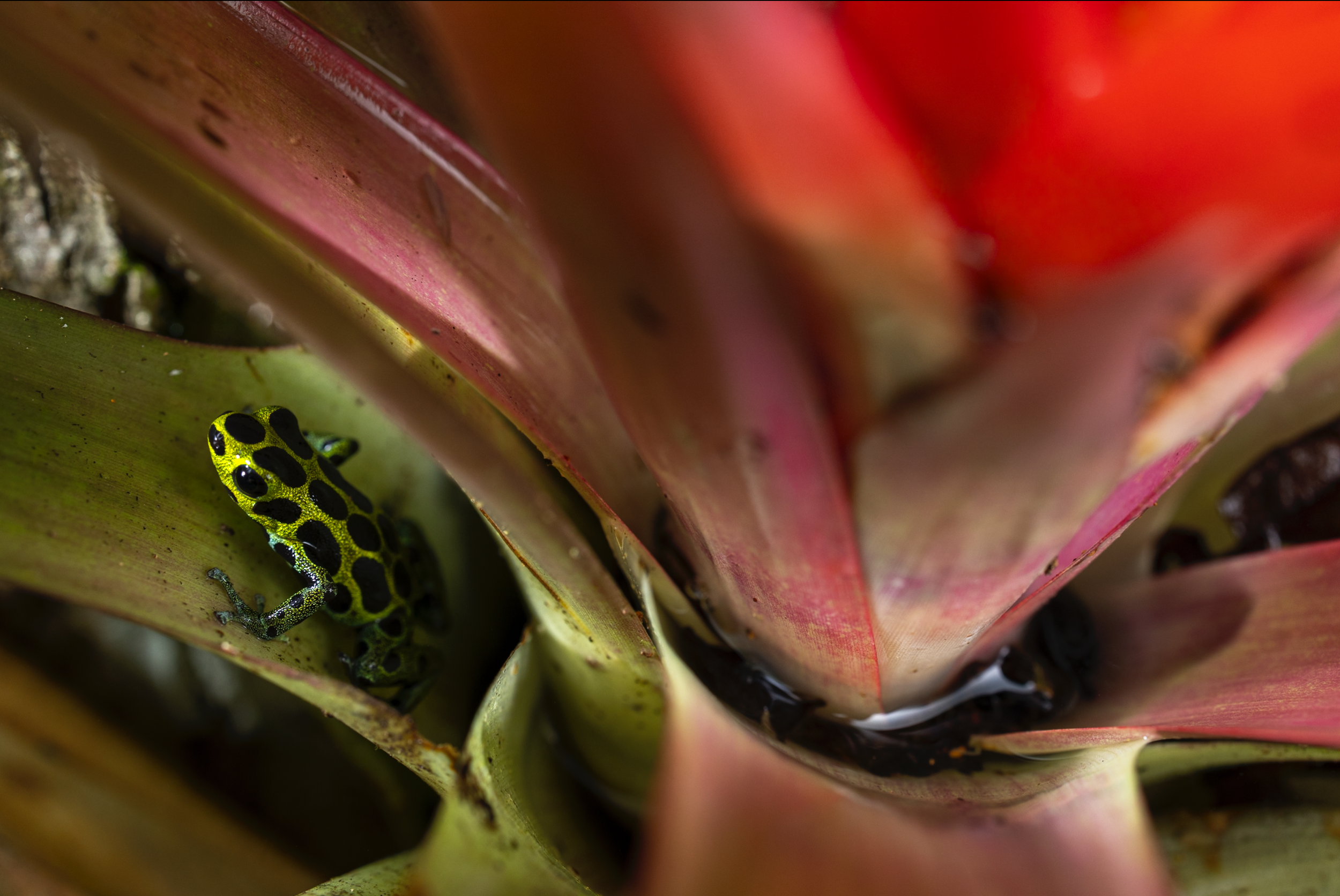 Scherm­afbeelding 2026-04-07 om 22.47.05.png