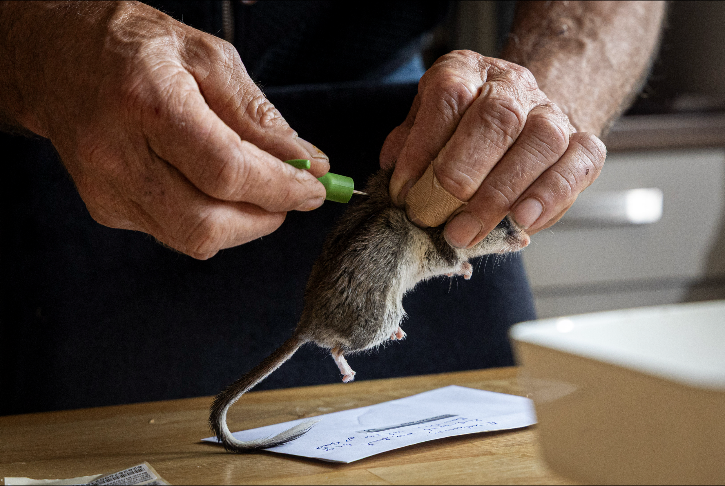 Scherm­afbeelding 2026-08-15 om 09.49.16.png