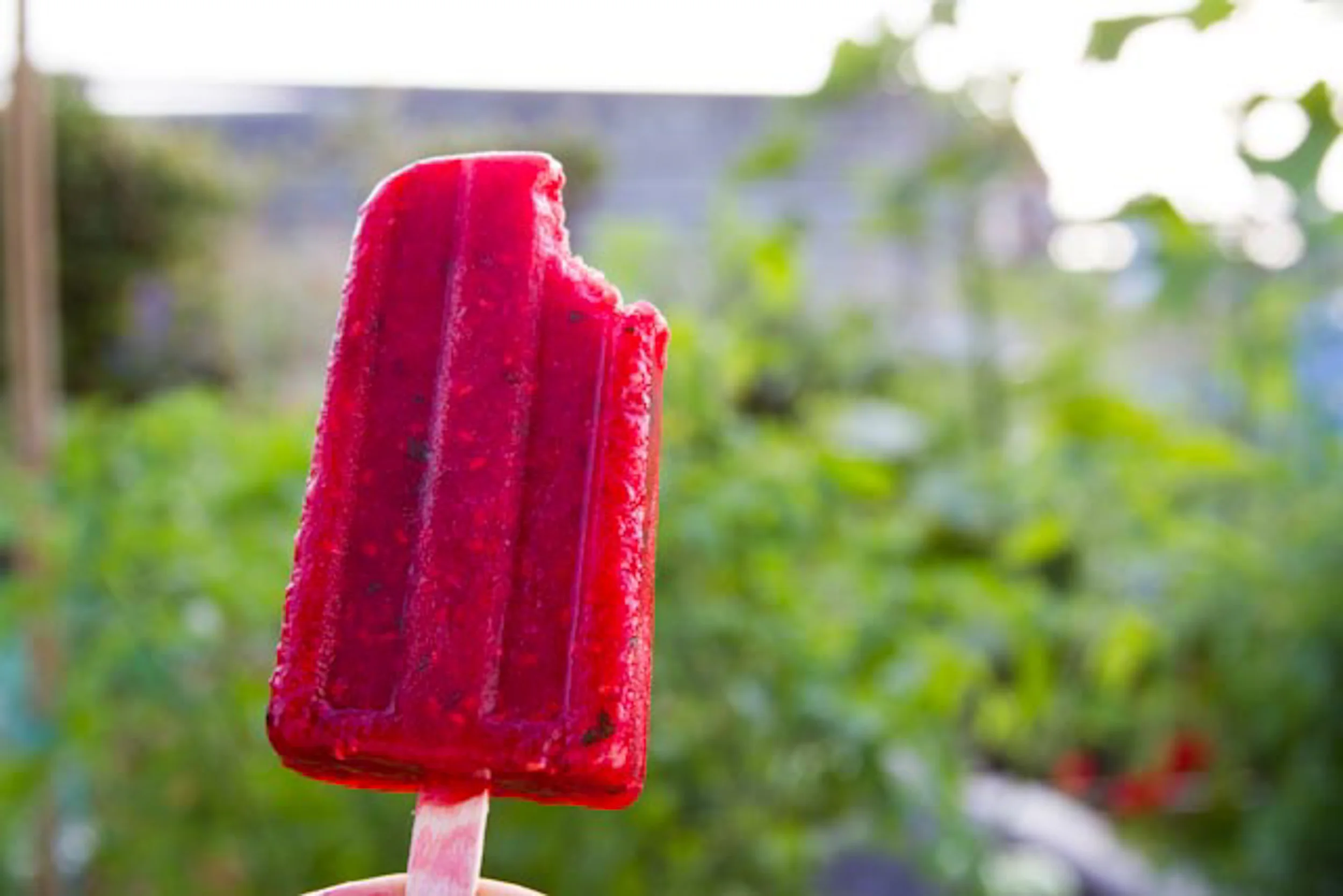 nicepops-aug11-2014-3188.jpg