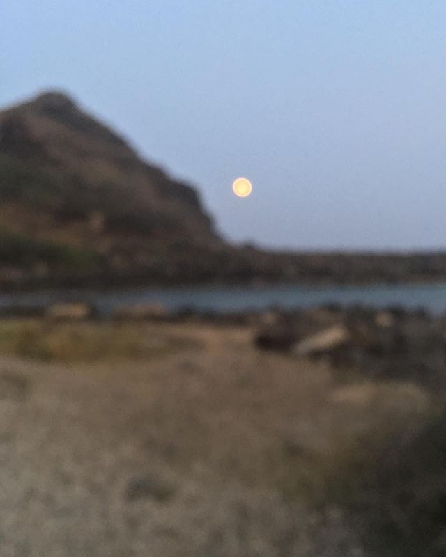 moon over makapuu.  #oahu #hawaii #secretspot