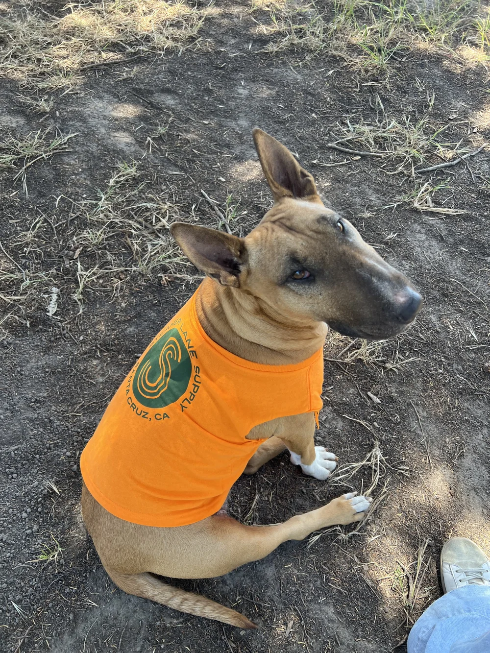 story — Steamer Lane Supply