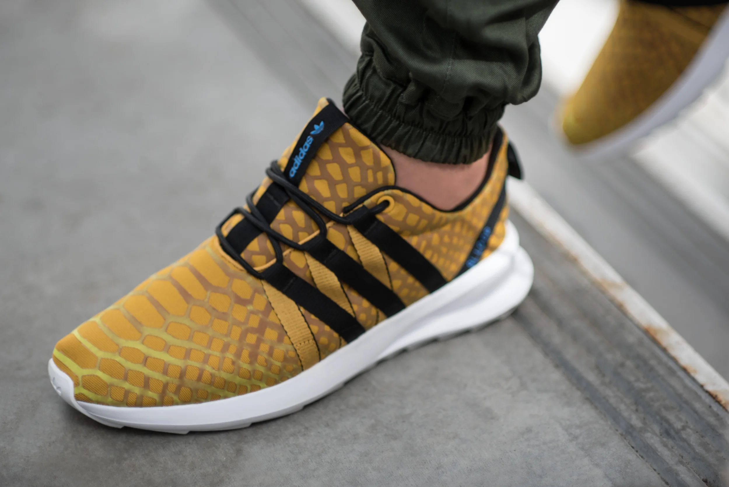  photography by  Dan Portrait  