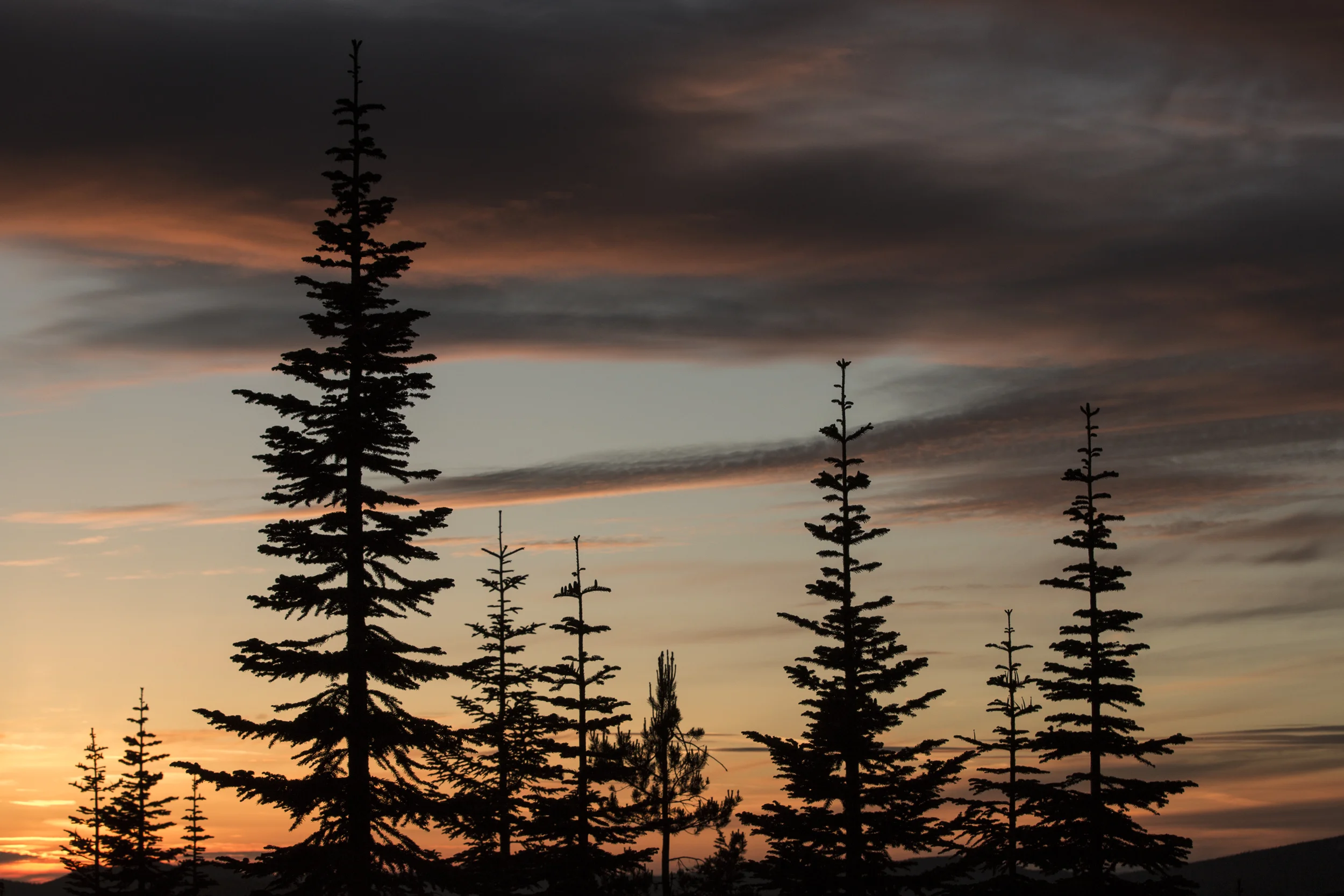  photography by  Zach Lewis  