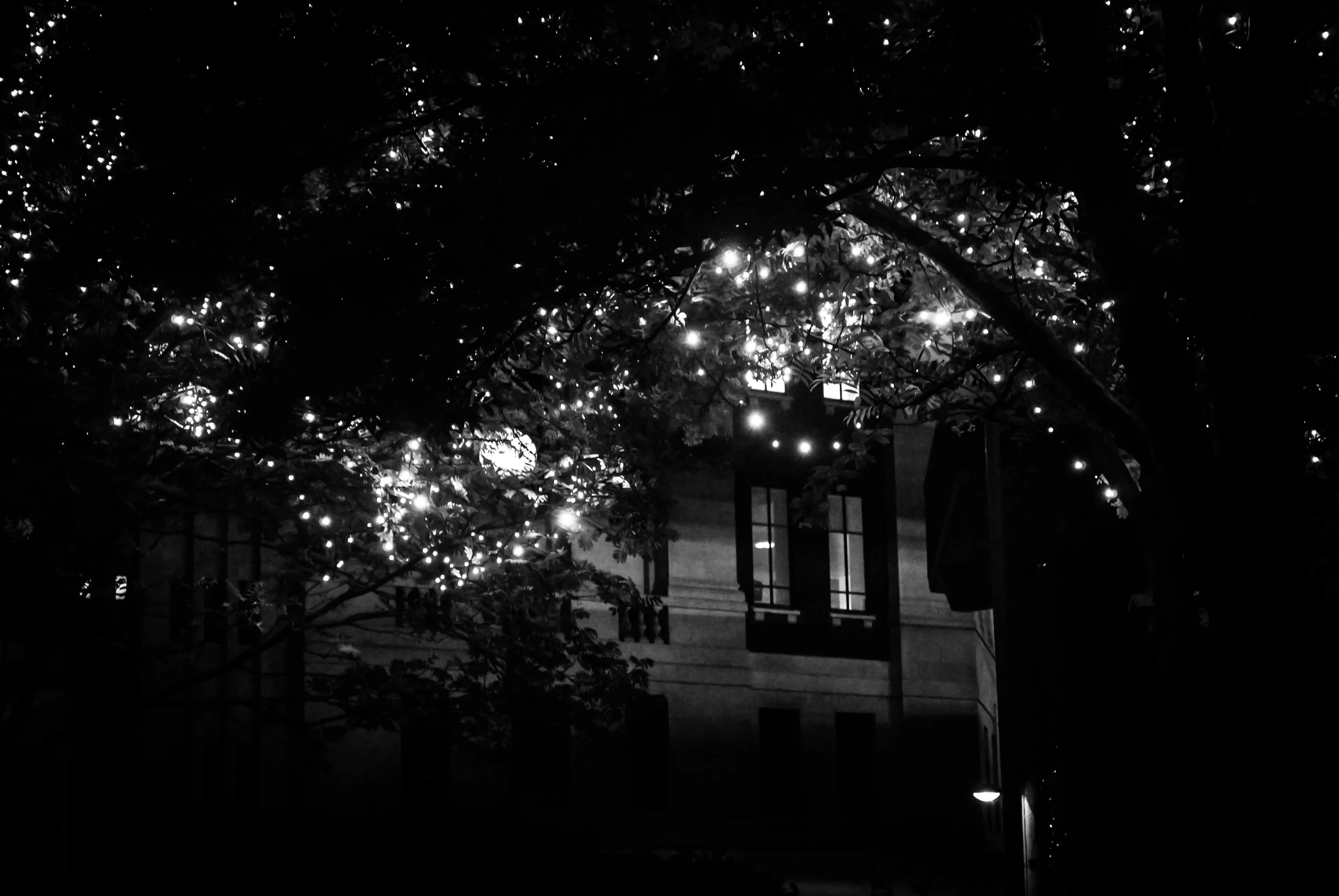 2015 Light Night (40 of 127).jpg