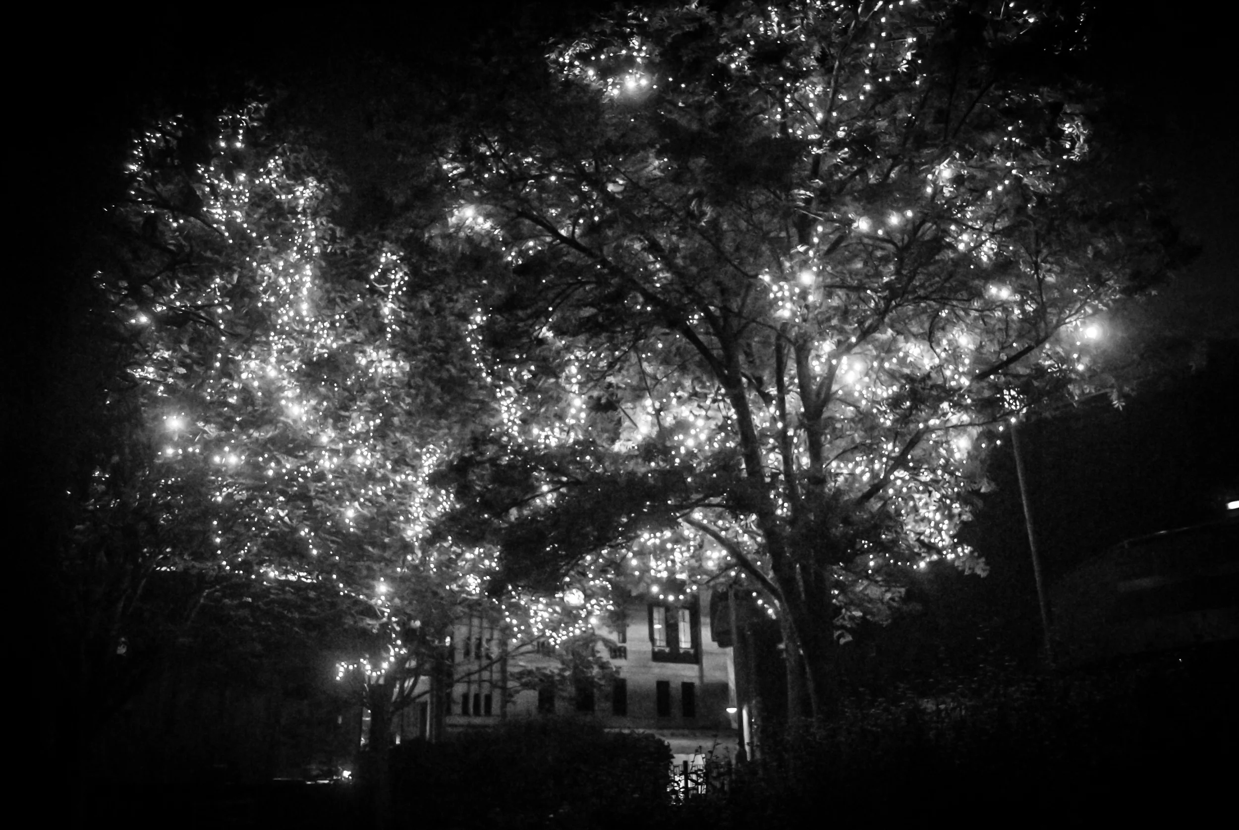 2015 Light Night (39 of 127).jpg