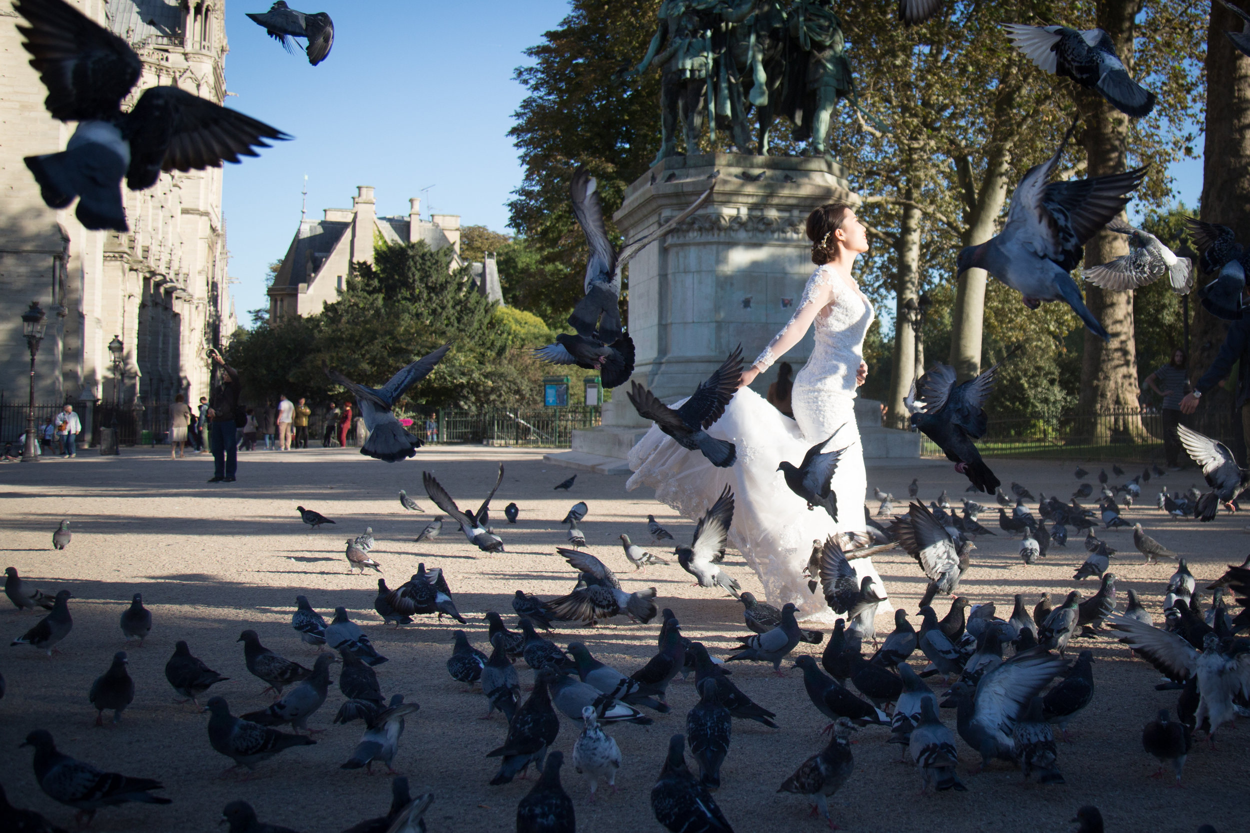 Chinese Bride and Birds.jpg