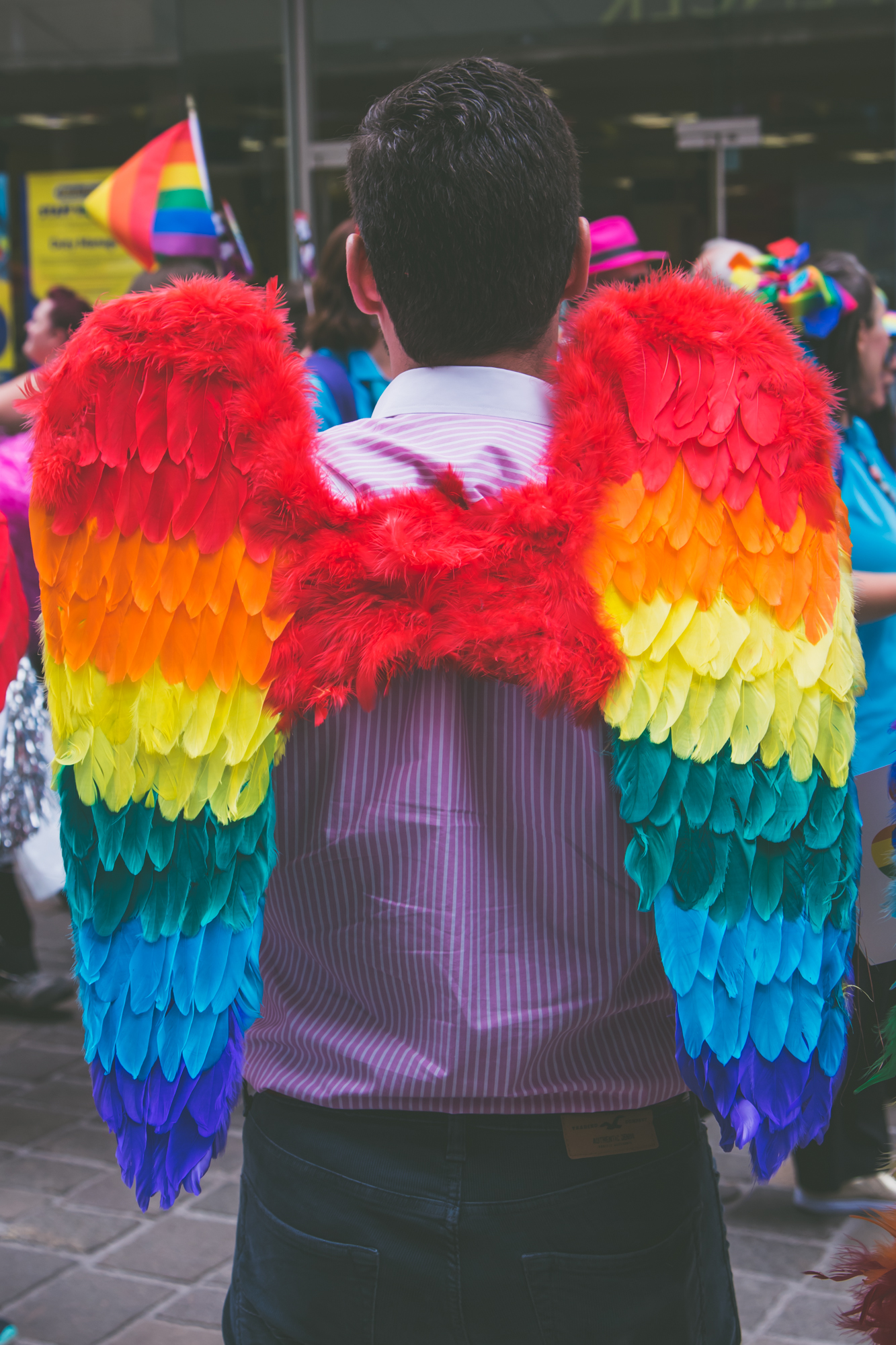 Pride wings