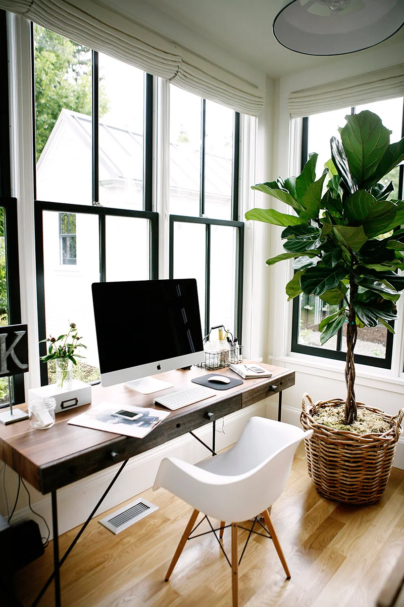 Office 5.jpg