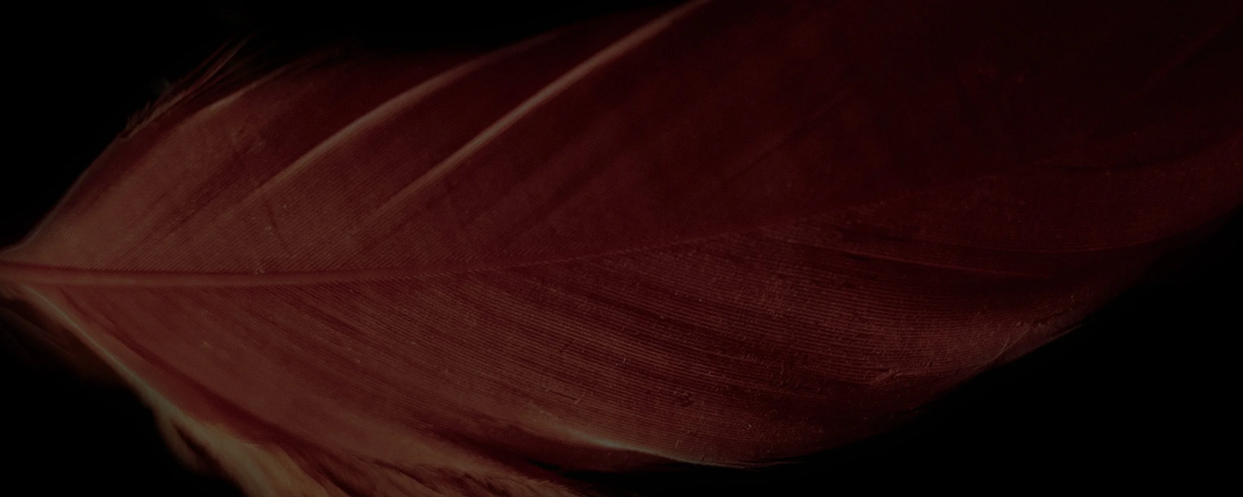 Featherd Flute_Banner.jpg